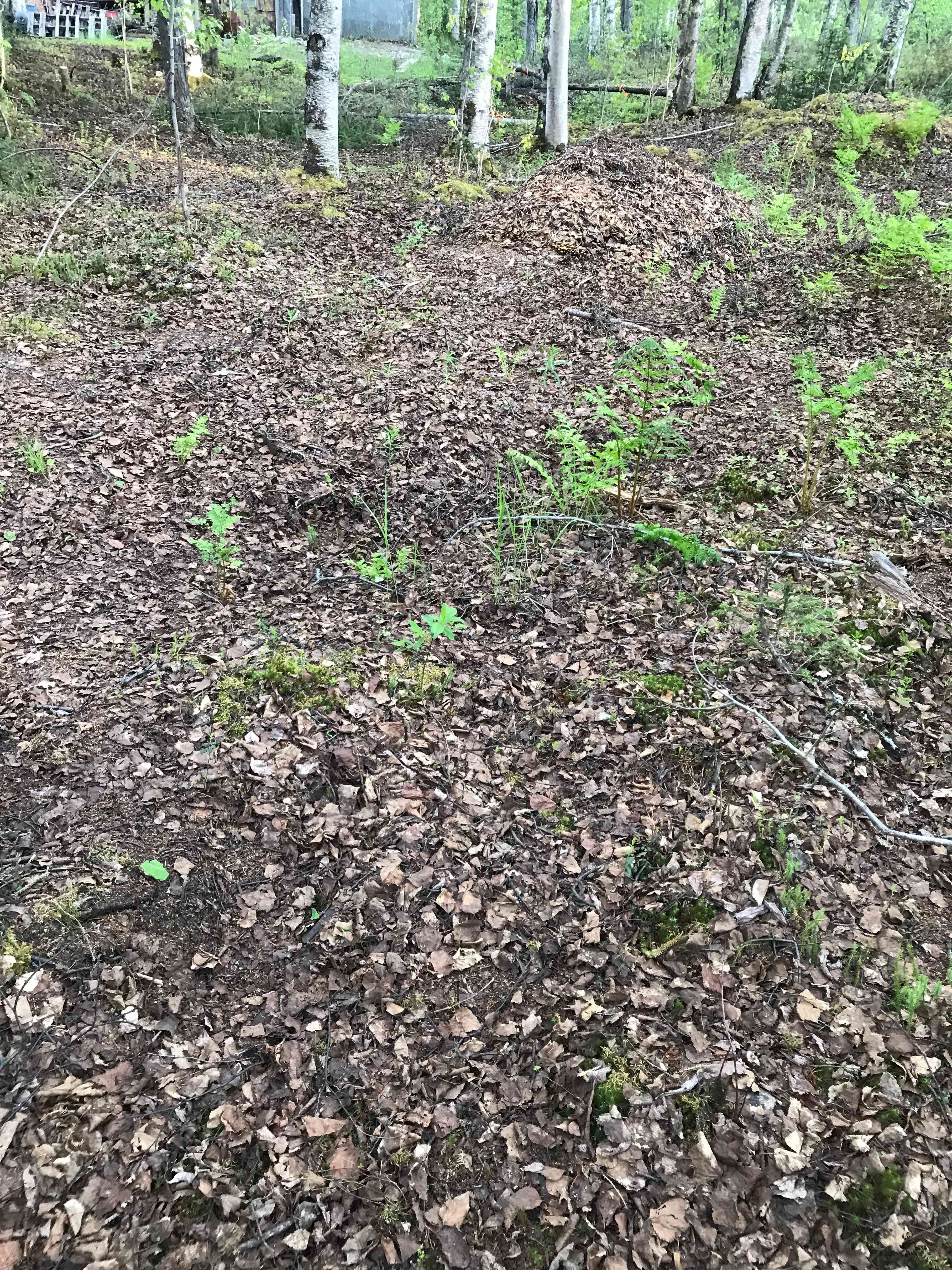 New Beginnings