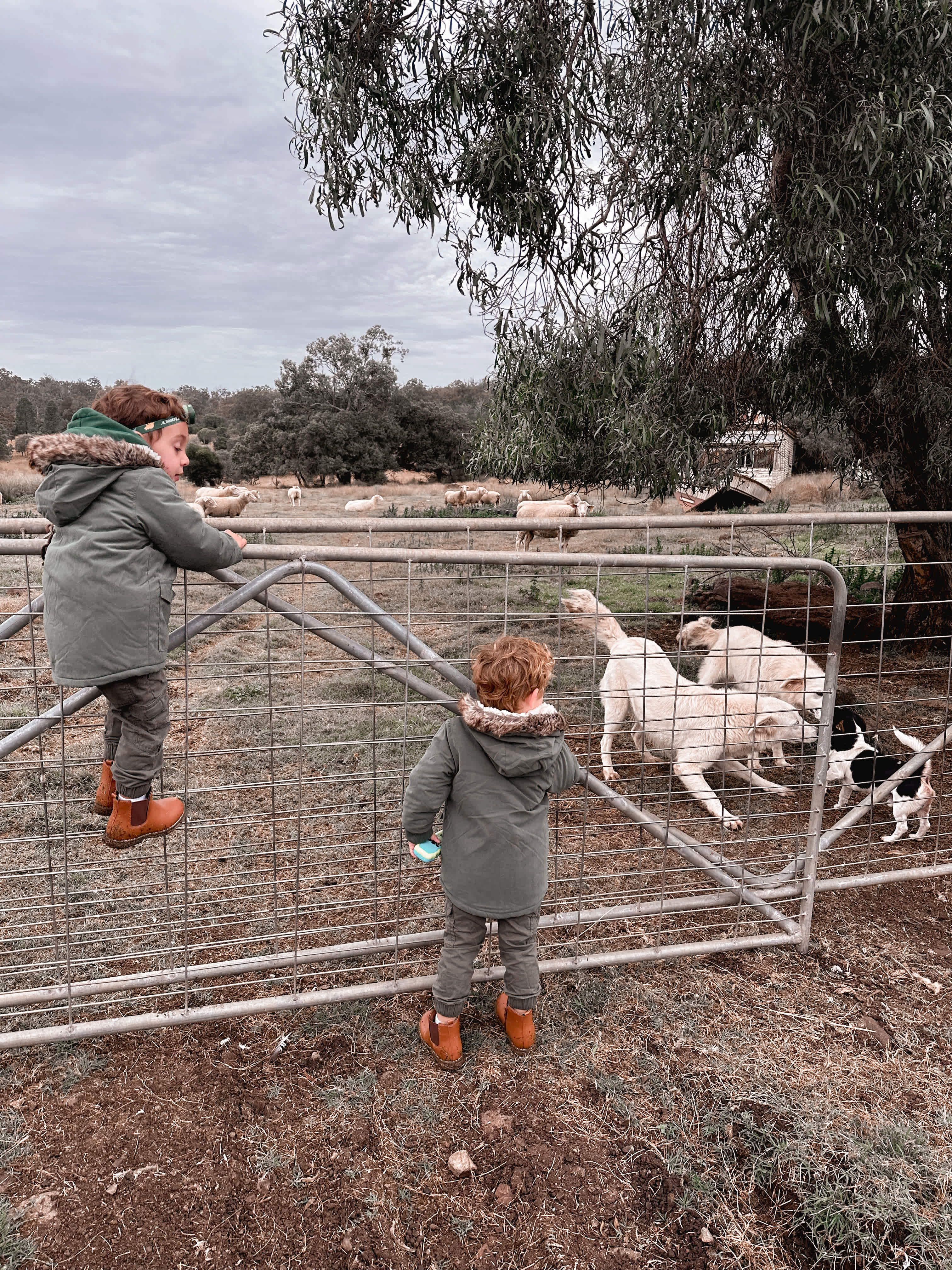 Liafail Farm