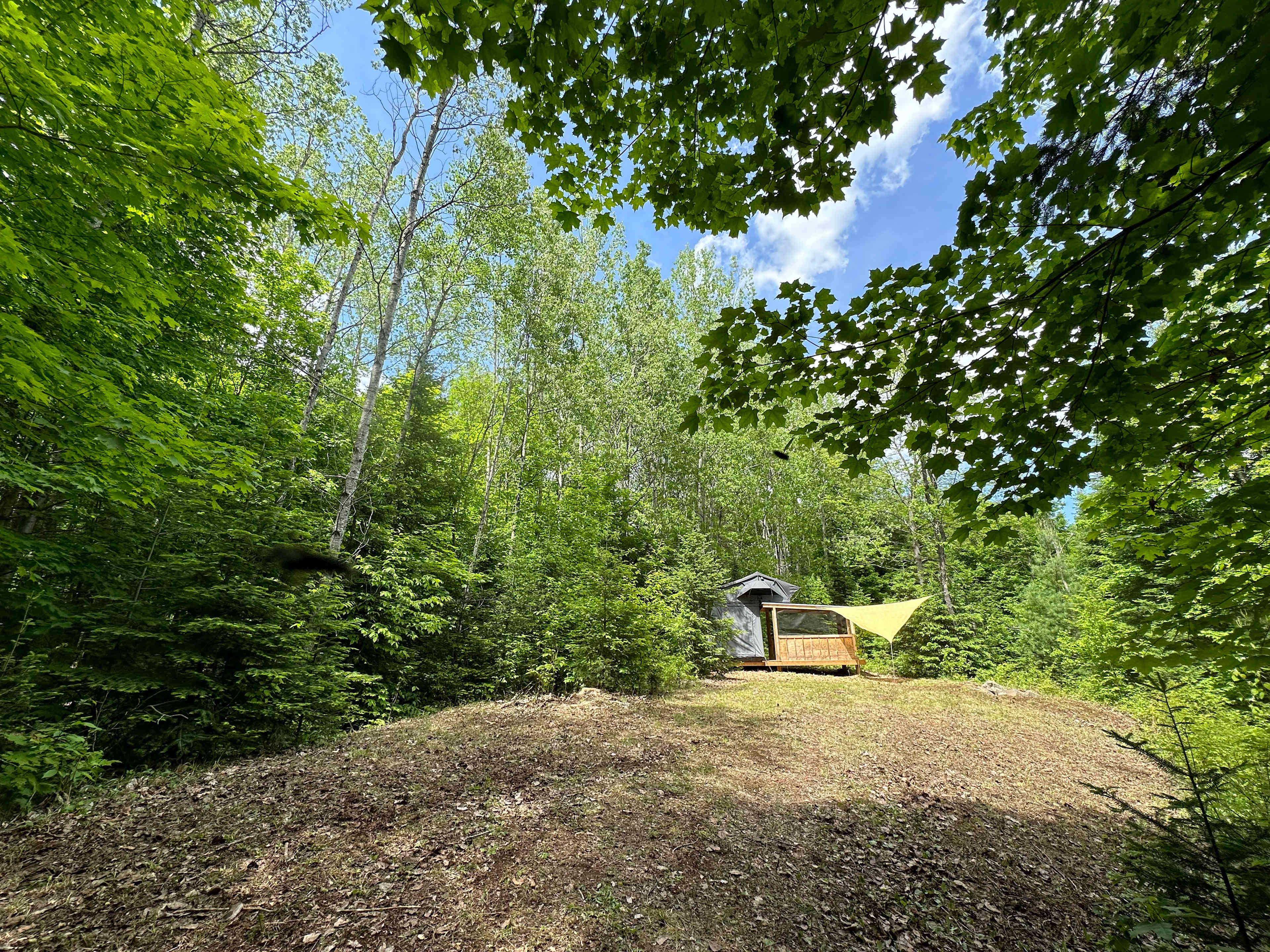Picture of the site