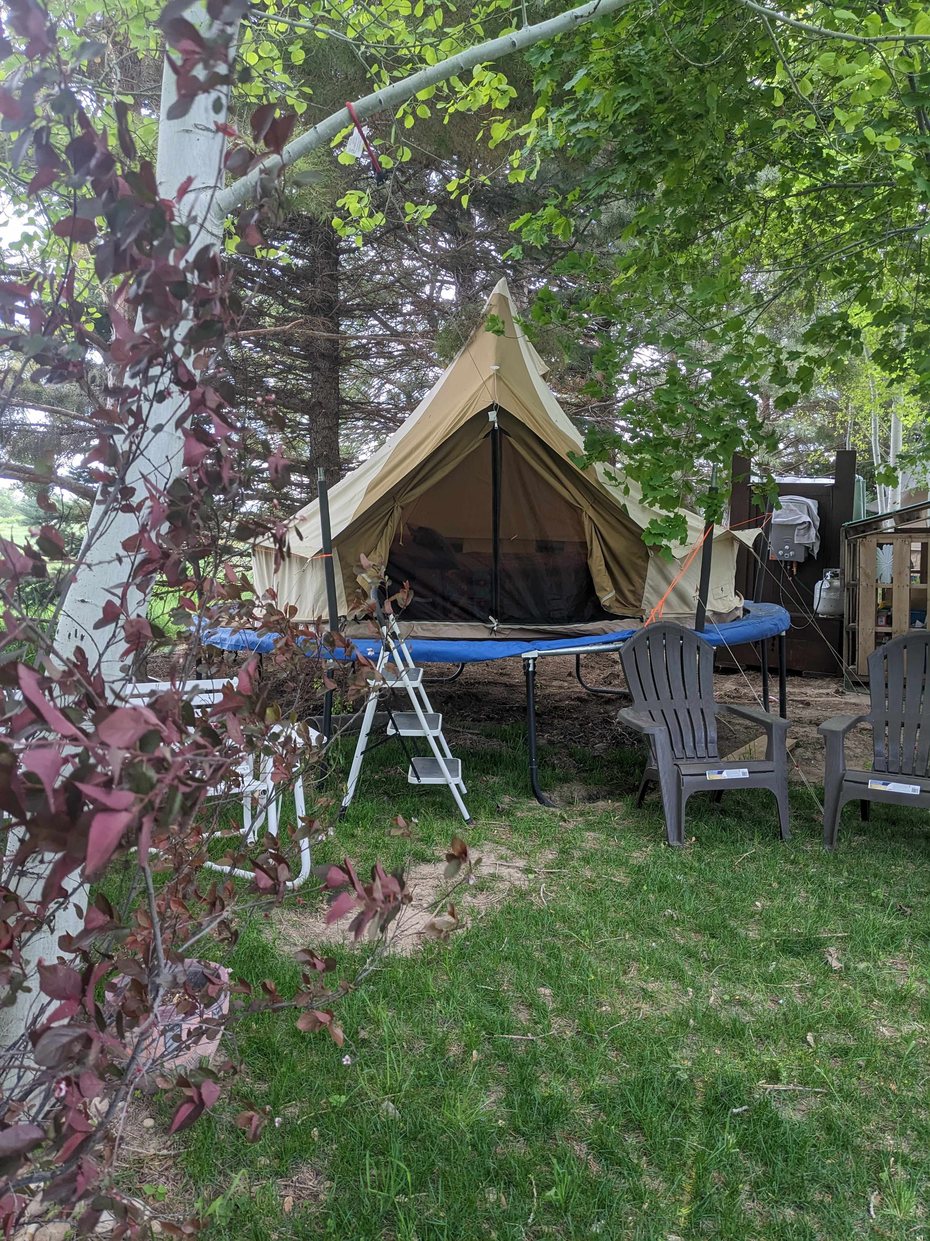 Picture of the site