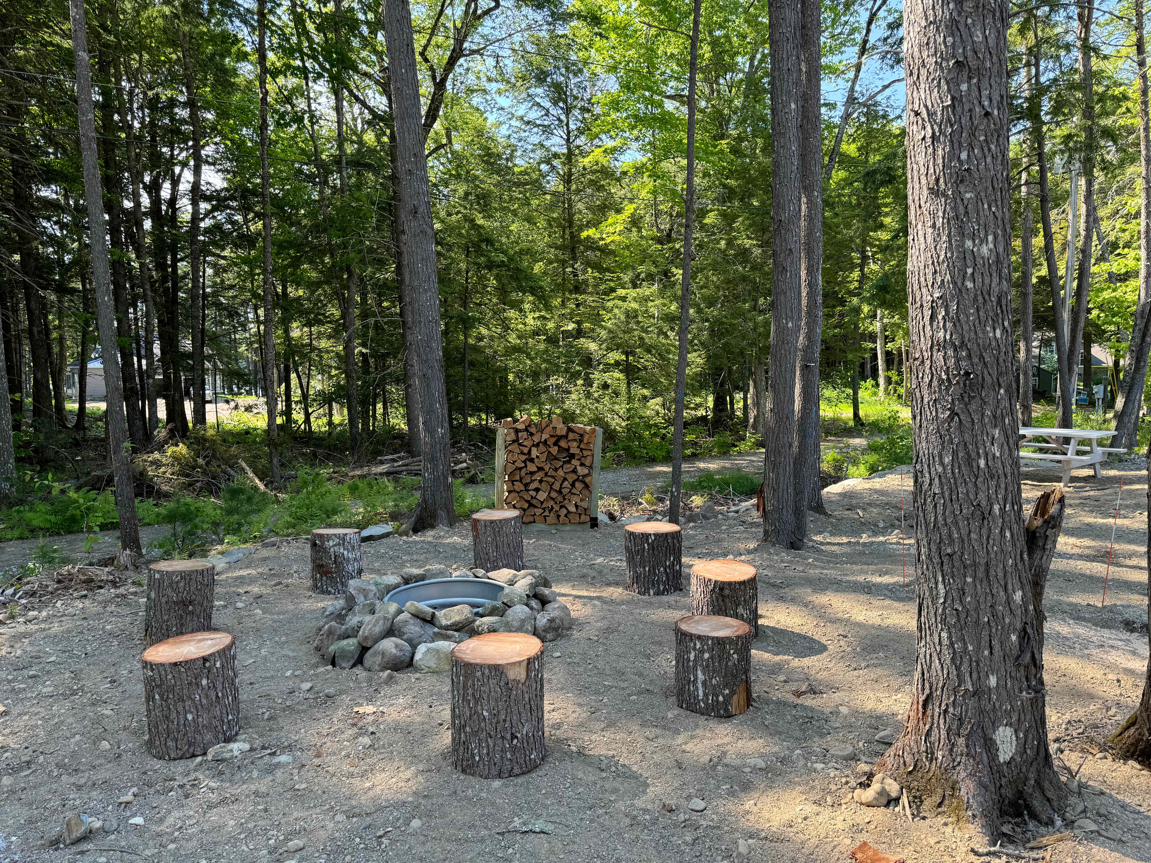 Fire pit with 8 stump seats.  Firewood included - see fire wood rack in middle of picture.