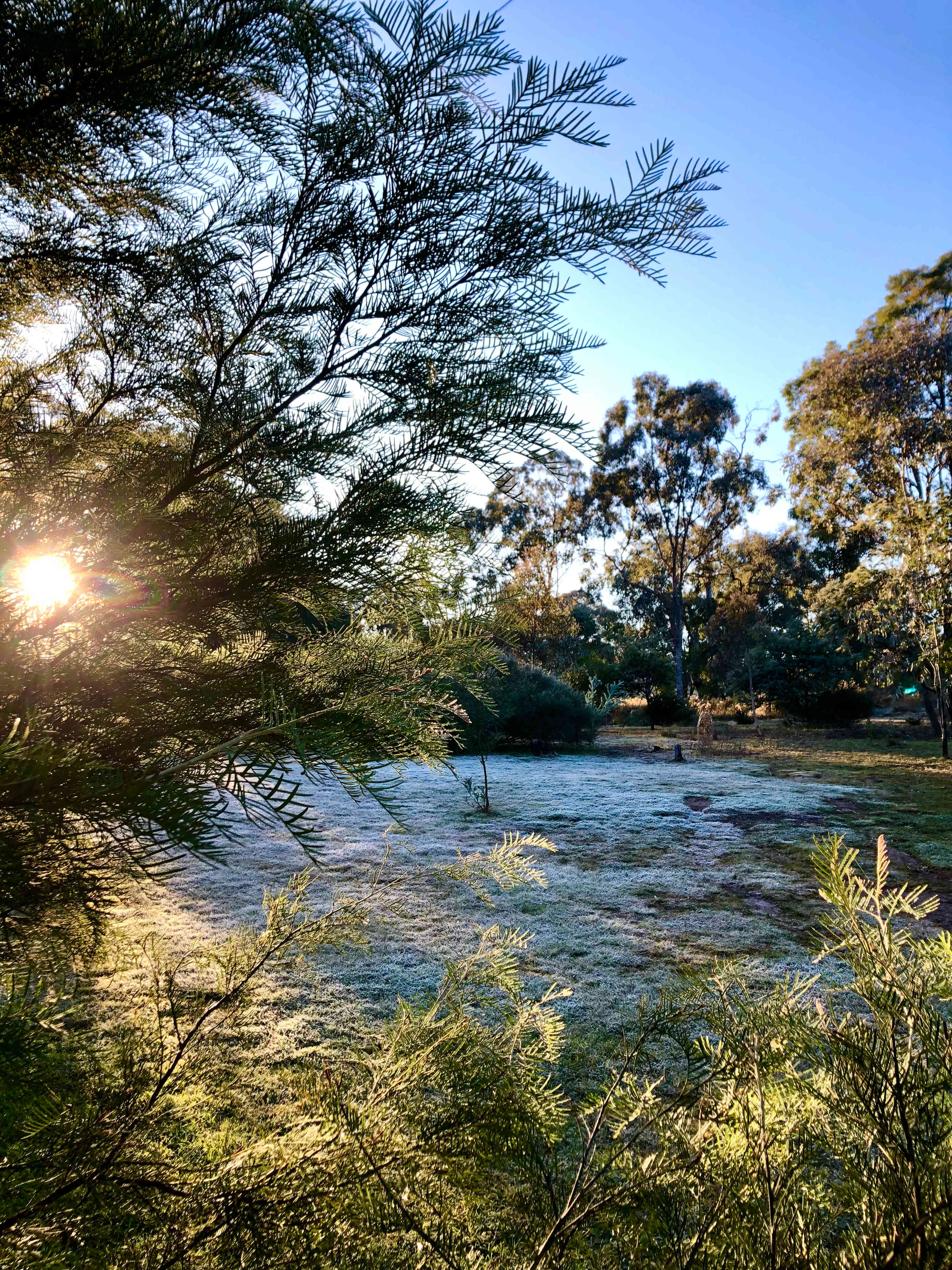Follyfoot Meadow