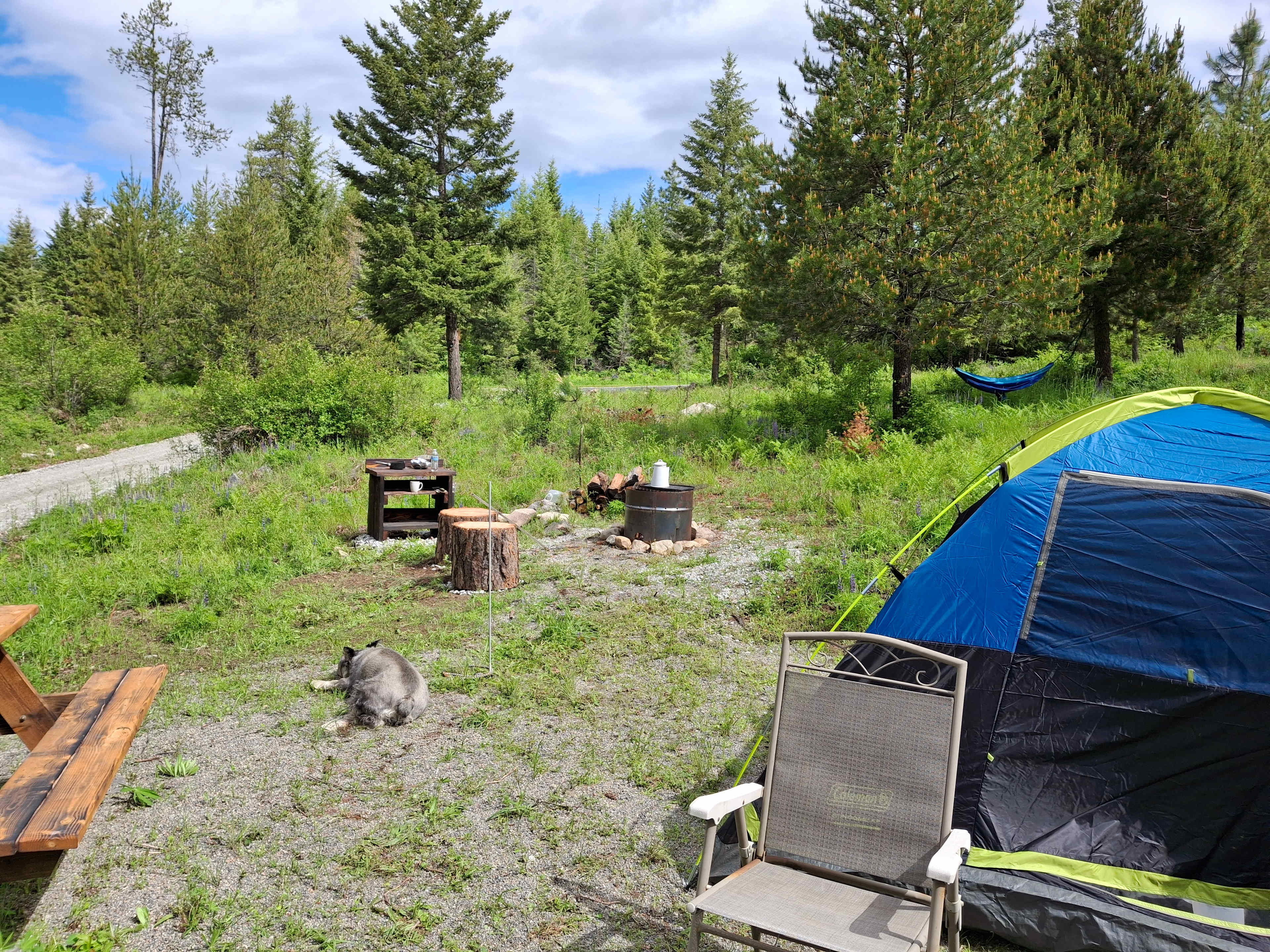 Campsite. Dogs must be pre-approved. Extra charge applies.