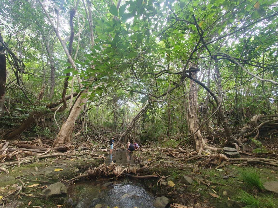 Picture of the site