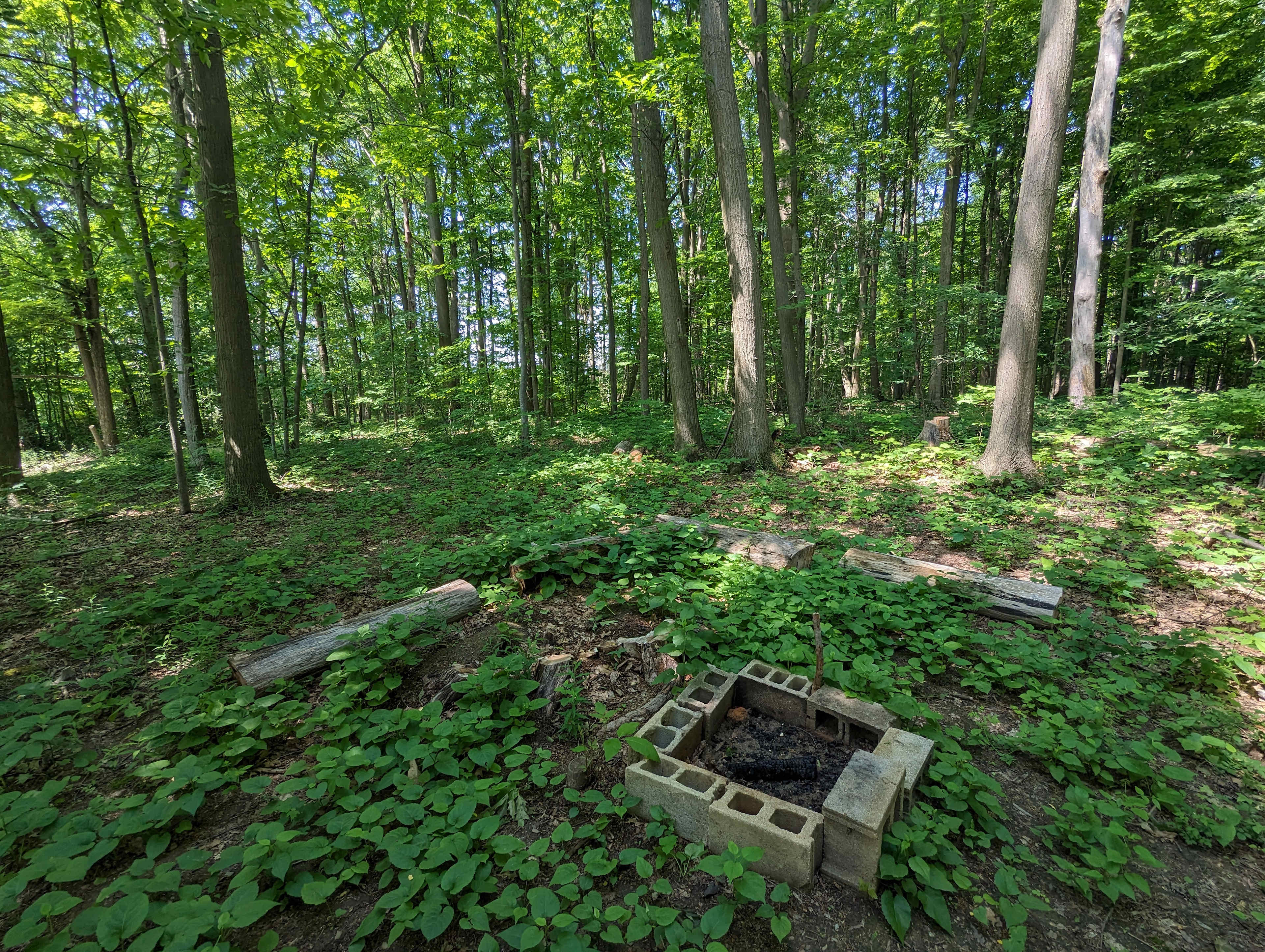site one fire pit 