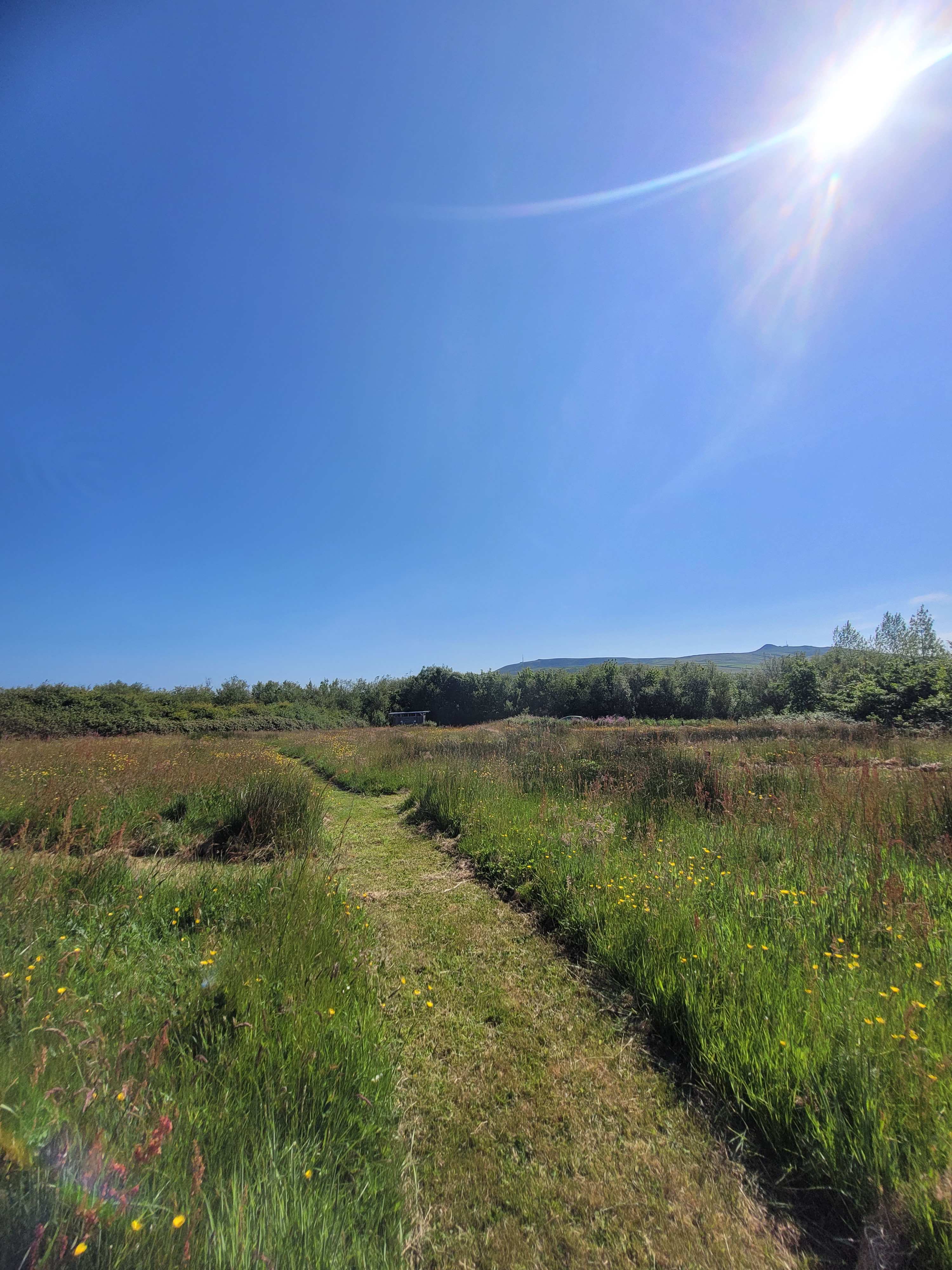 Felin Uchaf Meadow Camping