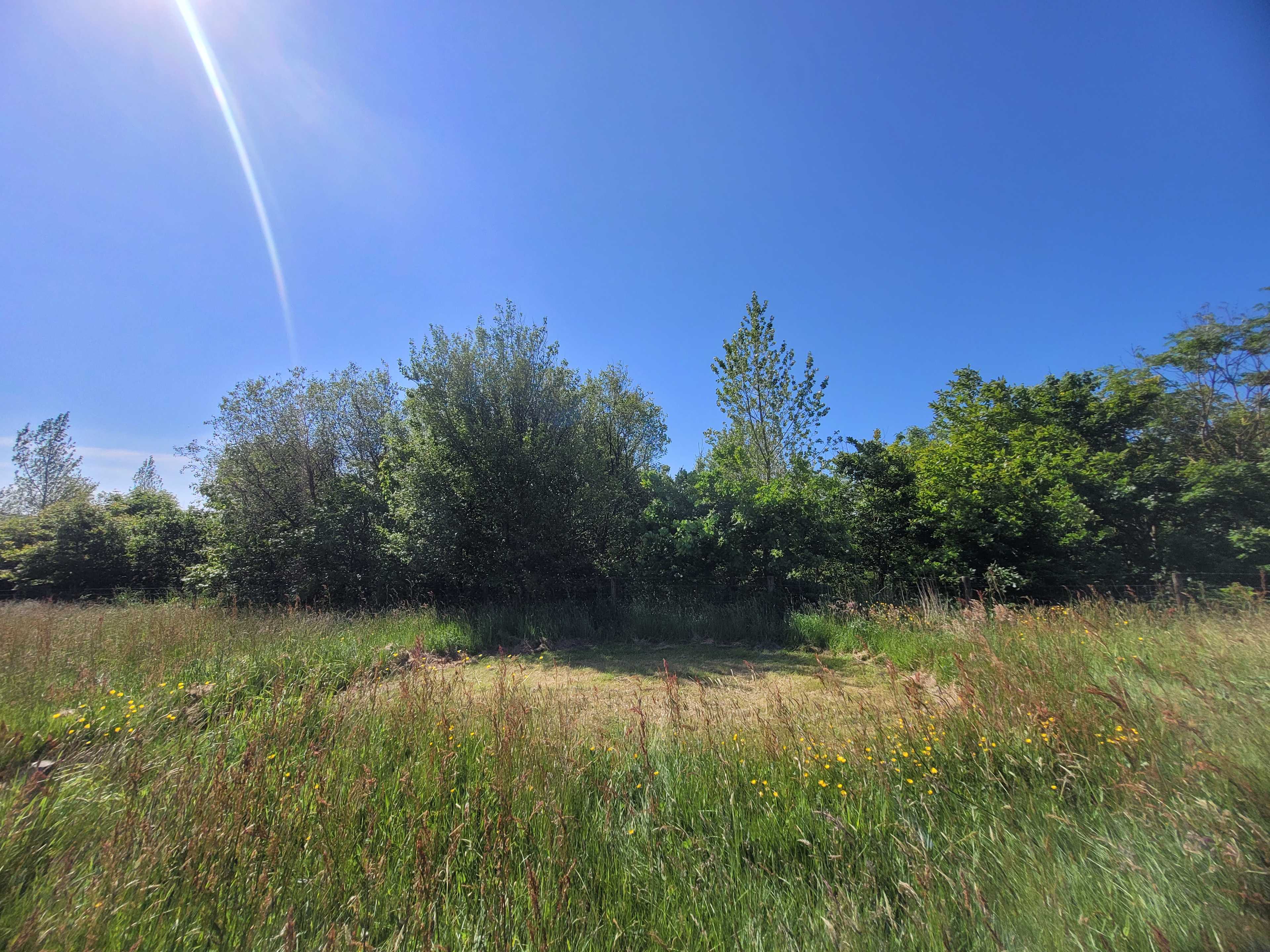 Felin Uchaf Meadow Camping