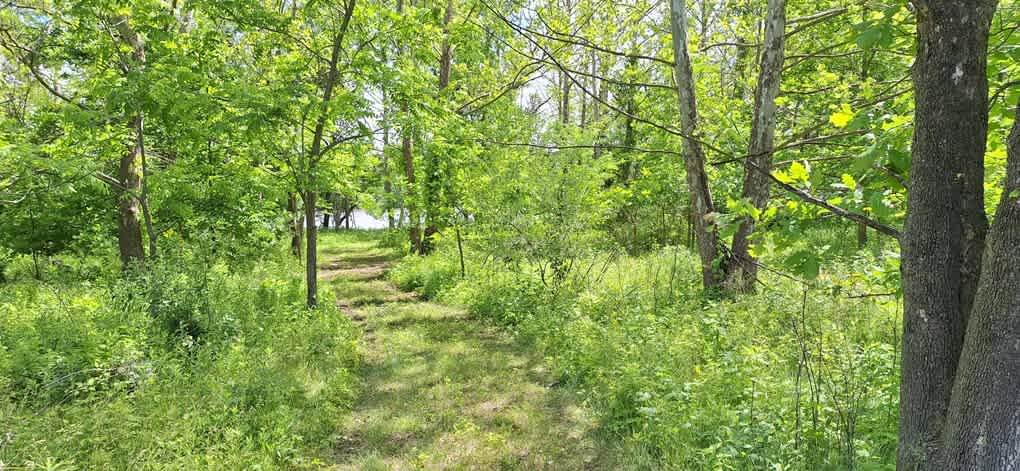 Draco Hill Nature Farm