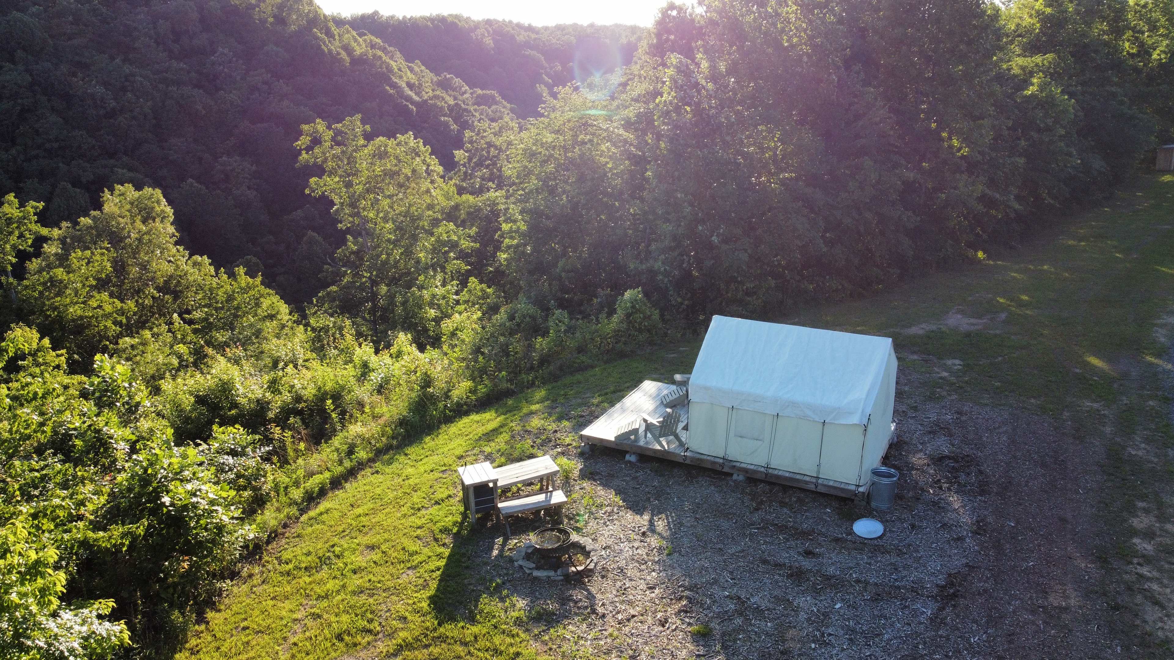 Picture of the site