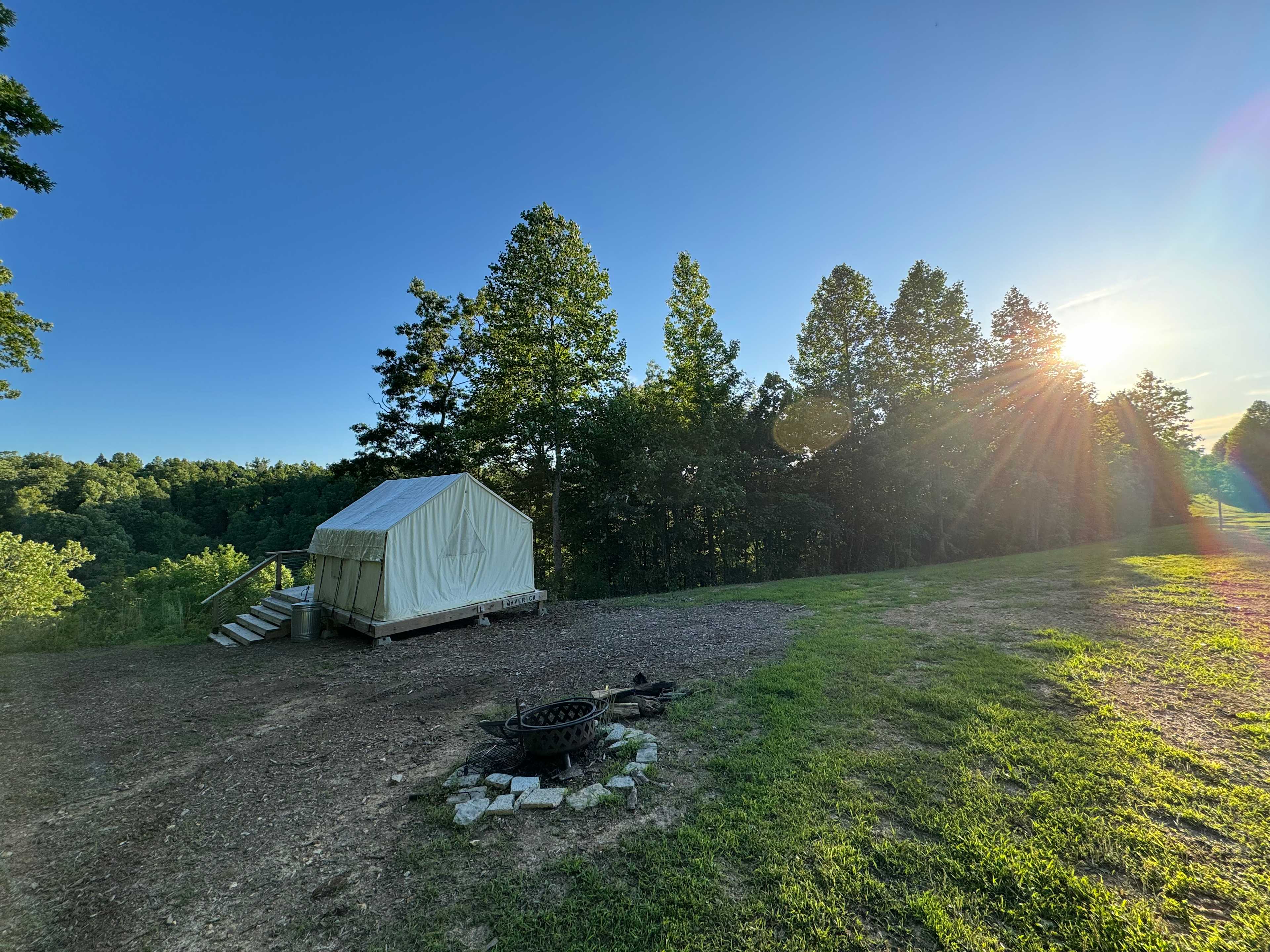 Picture of the site