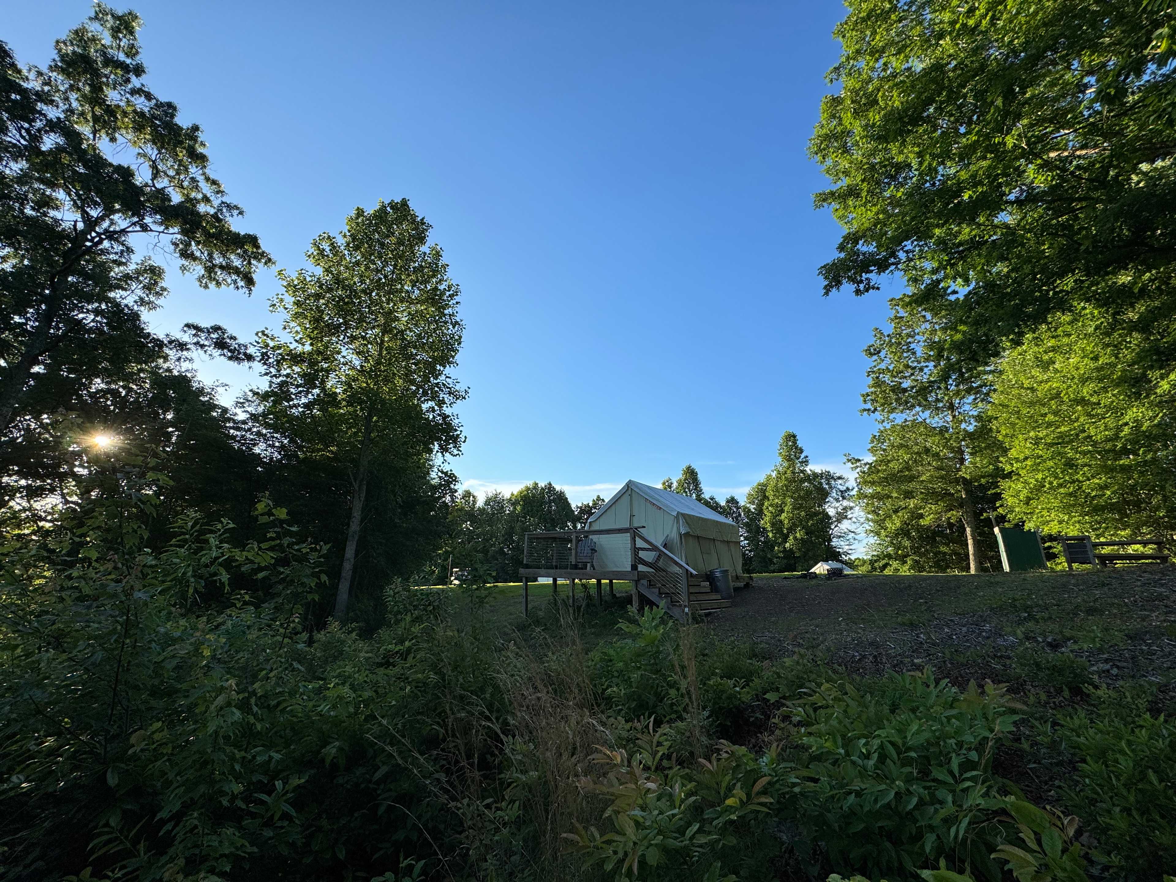 Picture of the site