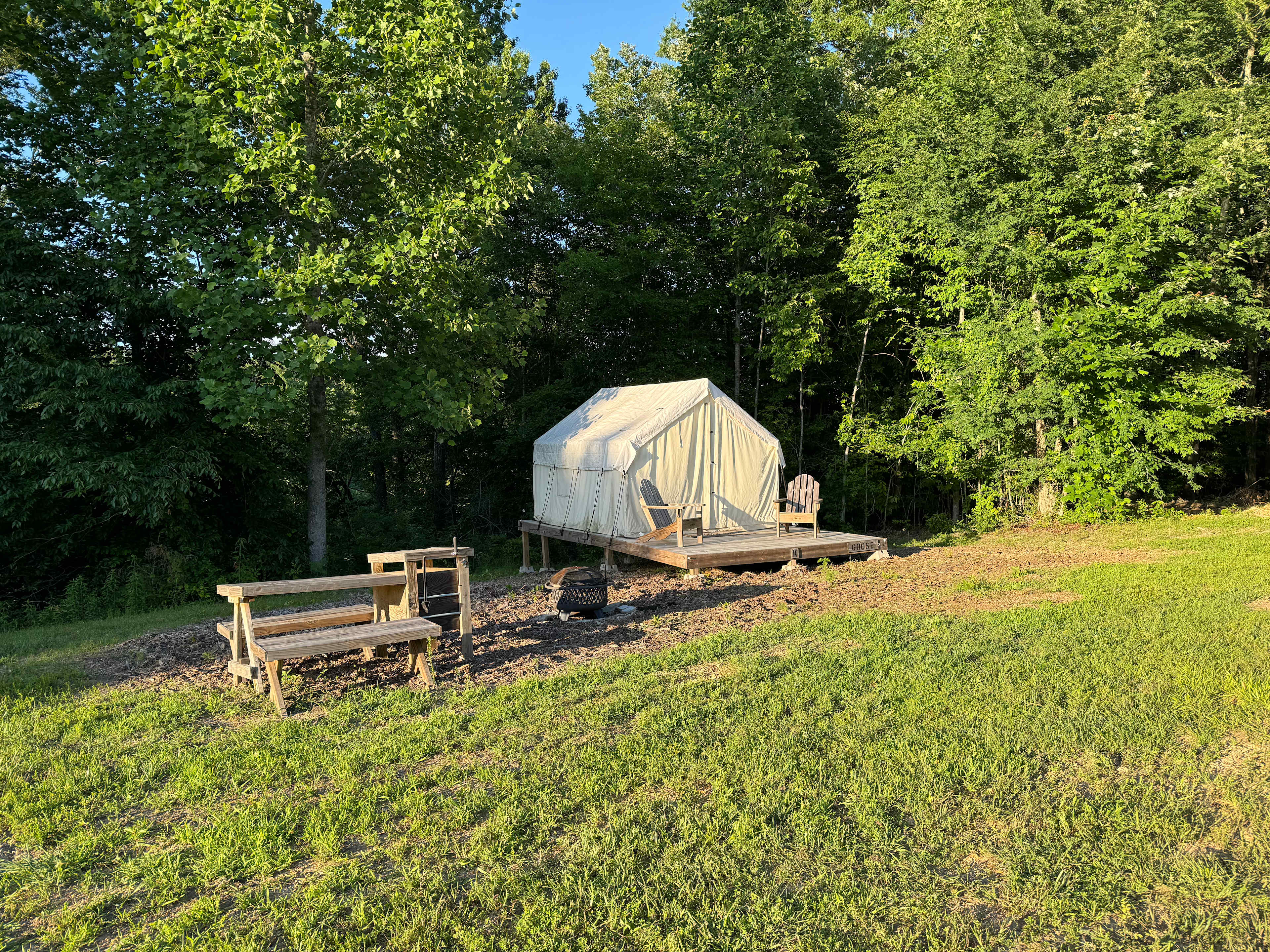 Picture of the site