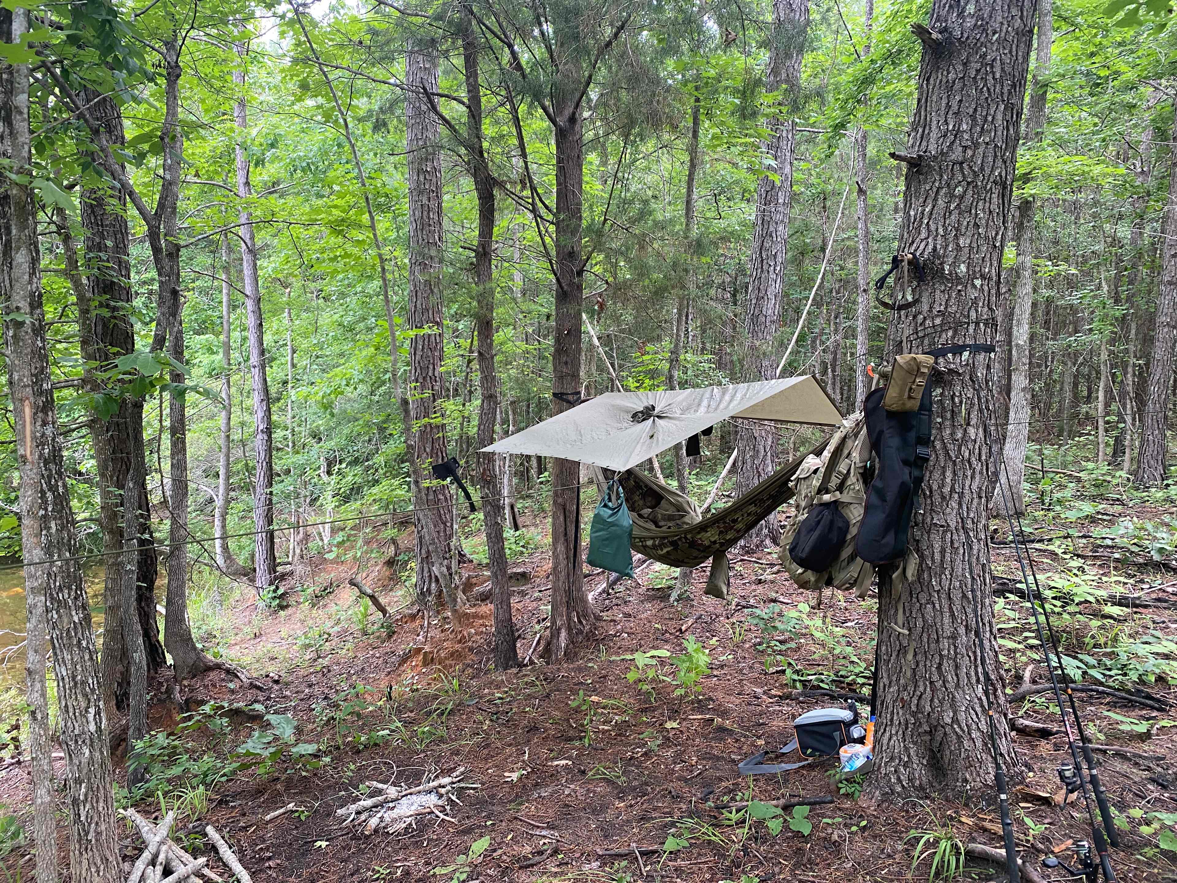 Murchison Farm's Primitive Camping