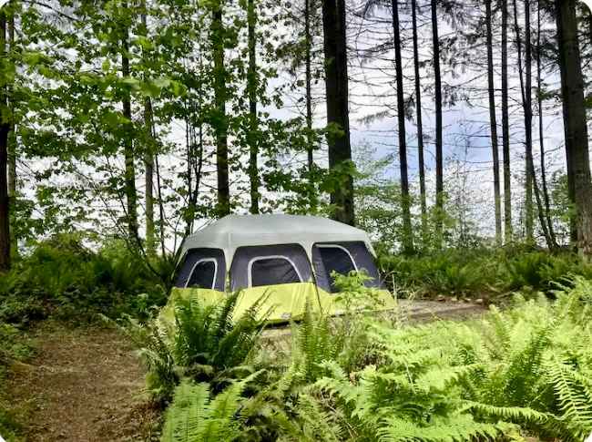 Large 14x9 tent nestled in the forest. This tiny campground has only one (or two) other tent sites. Shared outhouse with clean composting toilet. Shared kitchen space with all cooking and eating essentials. Shared fire pit and outdoor shower are a short walk away. 