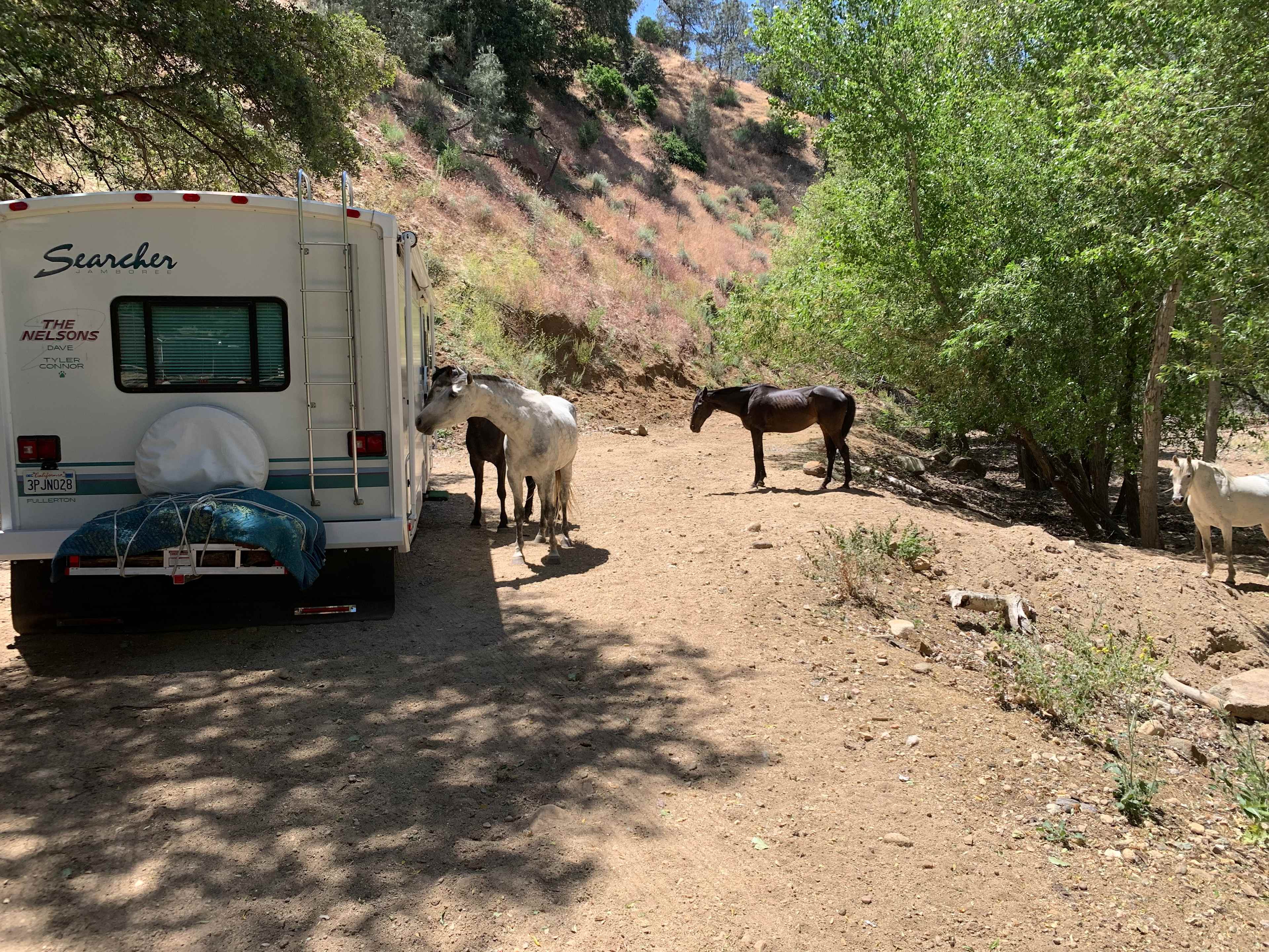 Welcoming committee 
