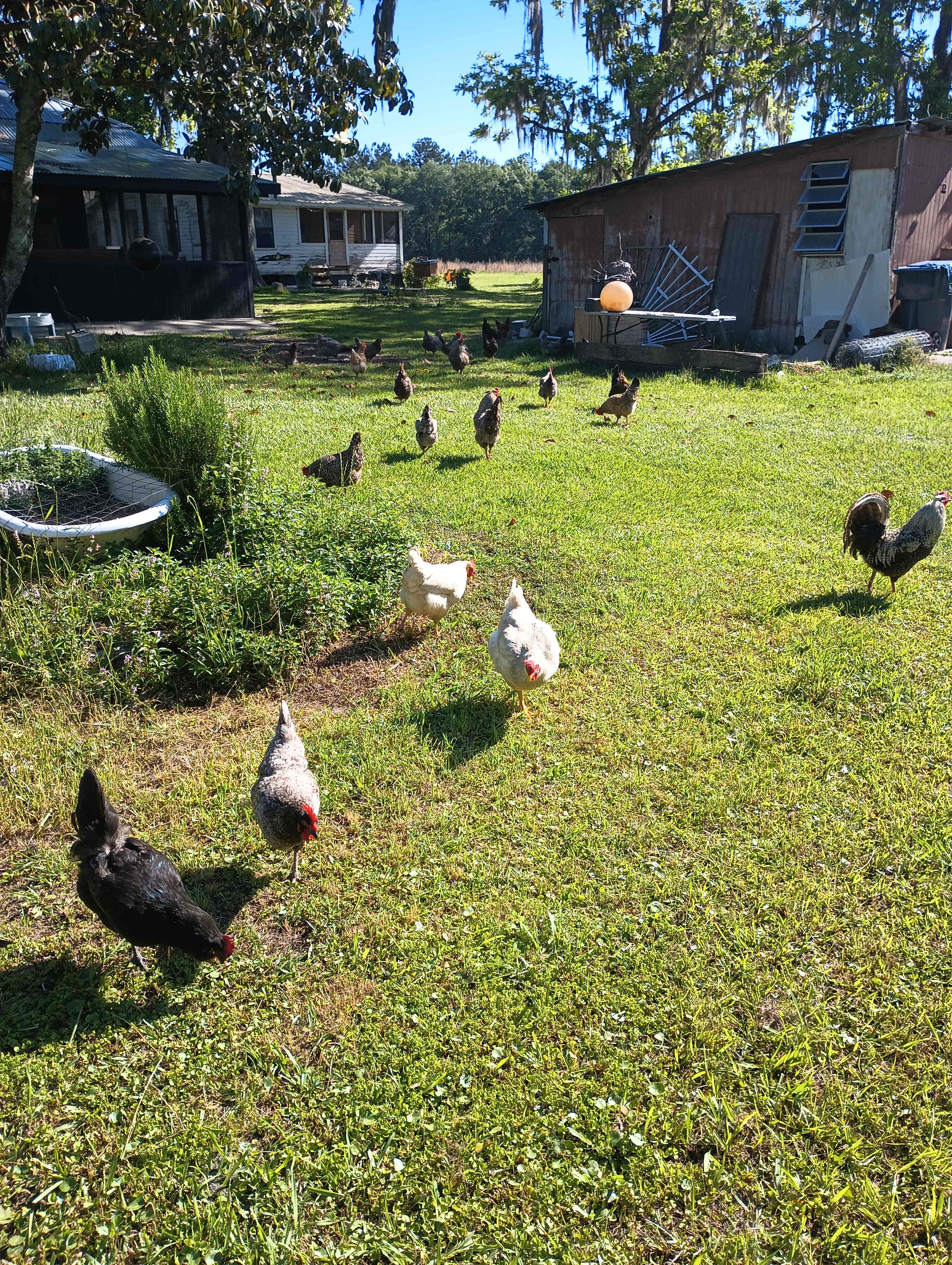 HeeHaw Acres Farm