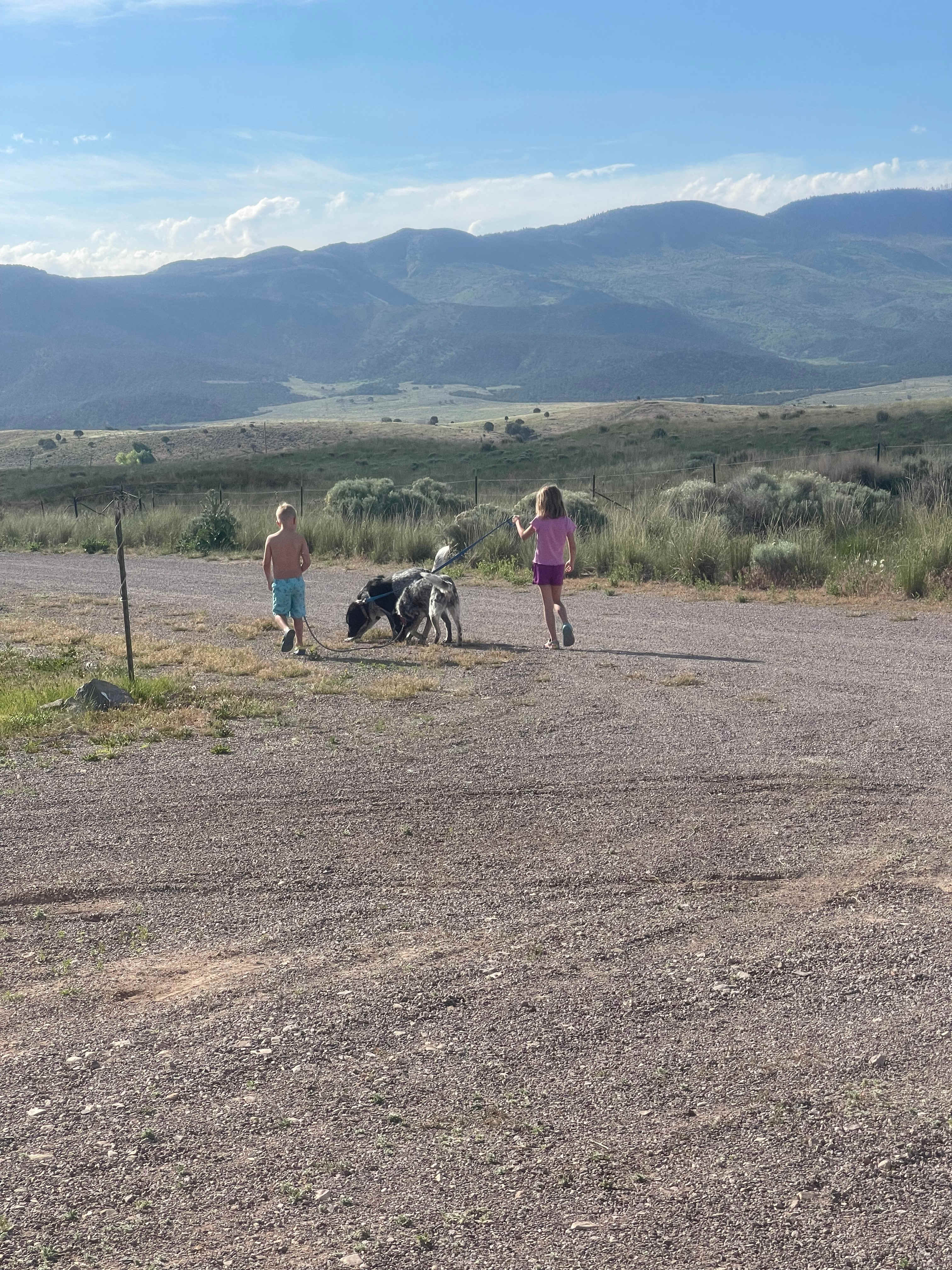 Great views, dog friendly!