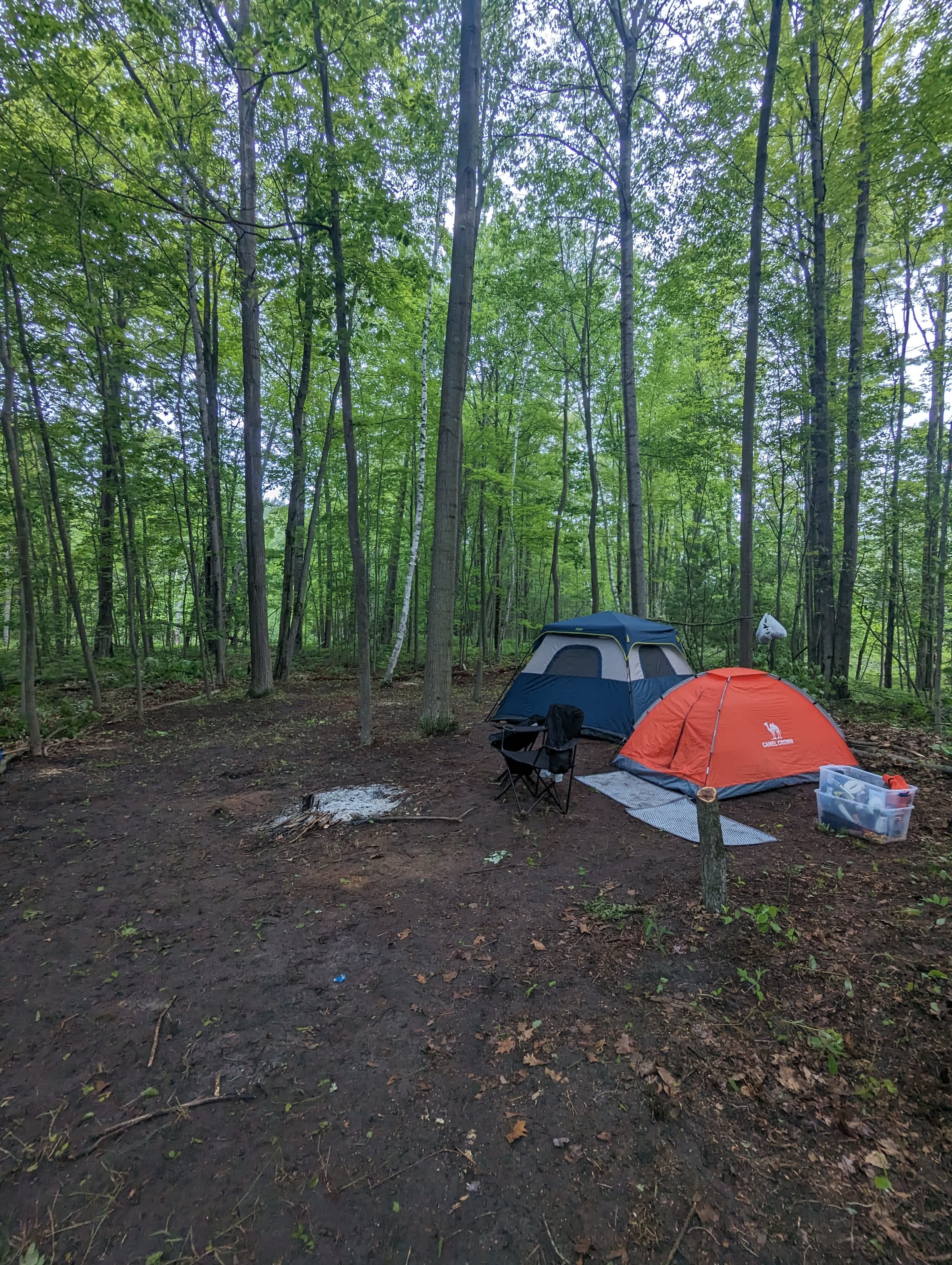 Lake Huron Wooded Retreat 🚗🏕️🏖️