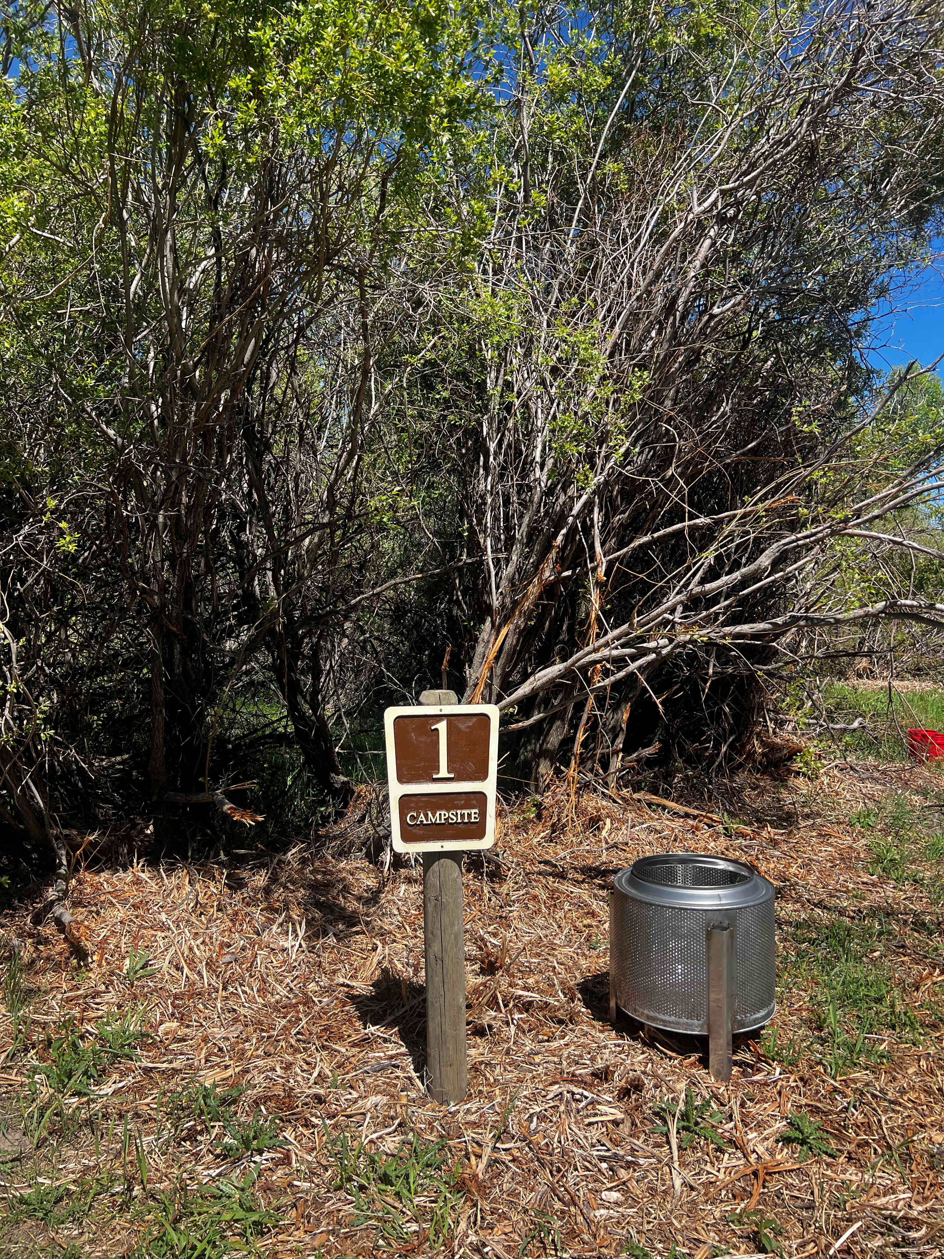 Picture of the site