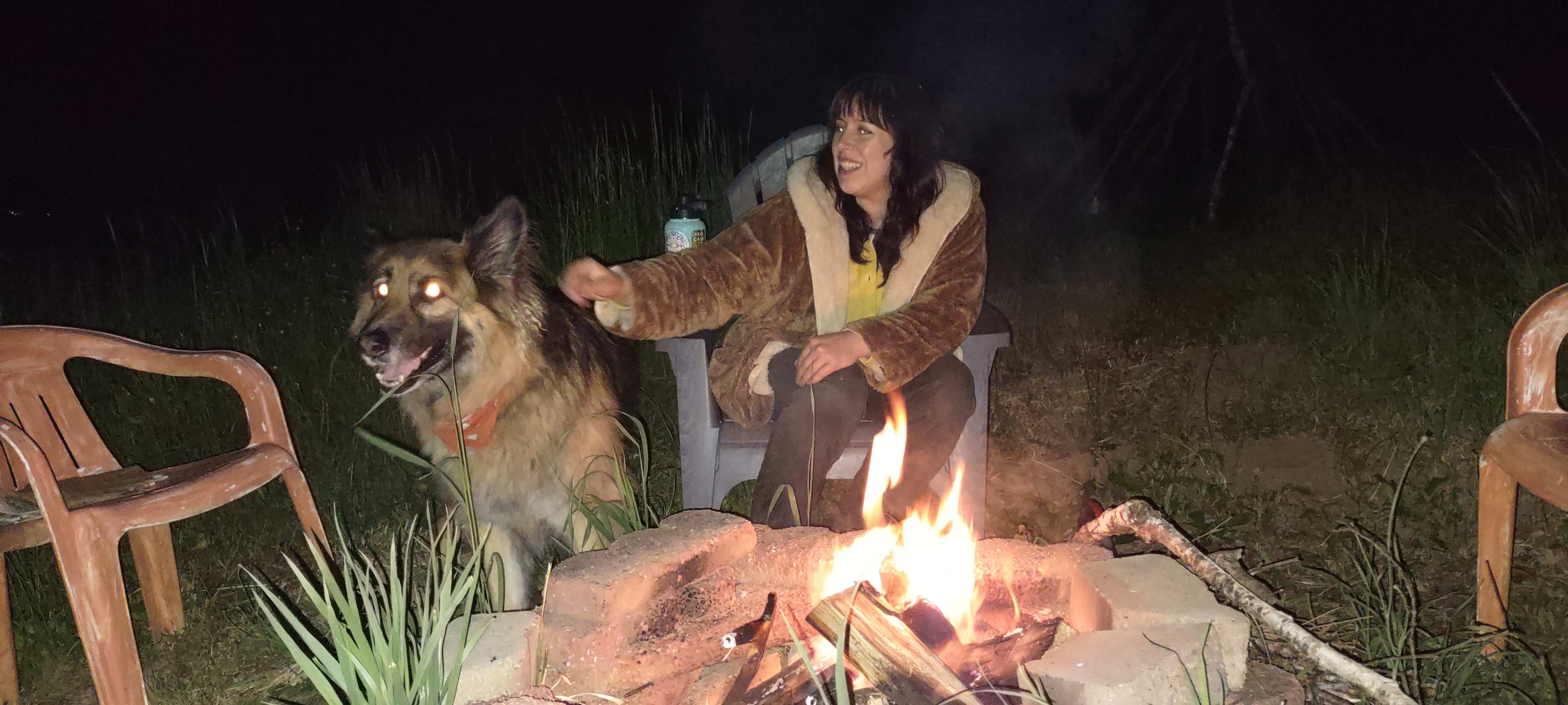 Woods, Waves & Wags/Hipcamp