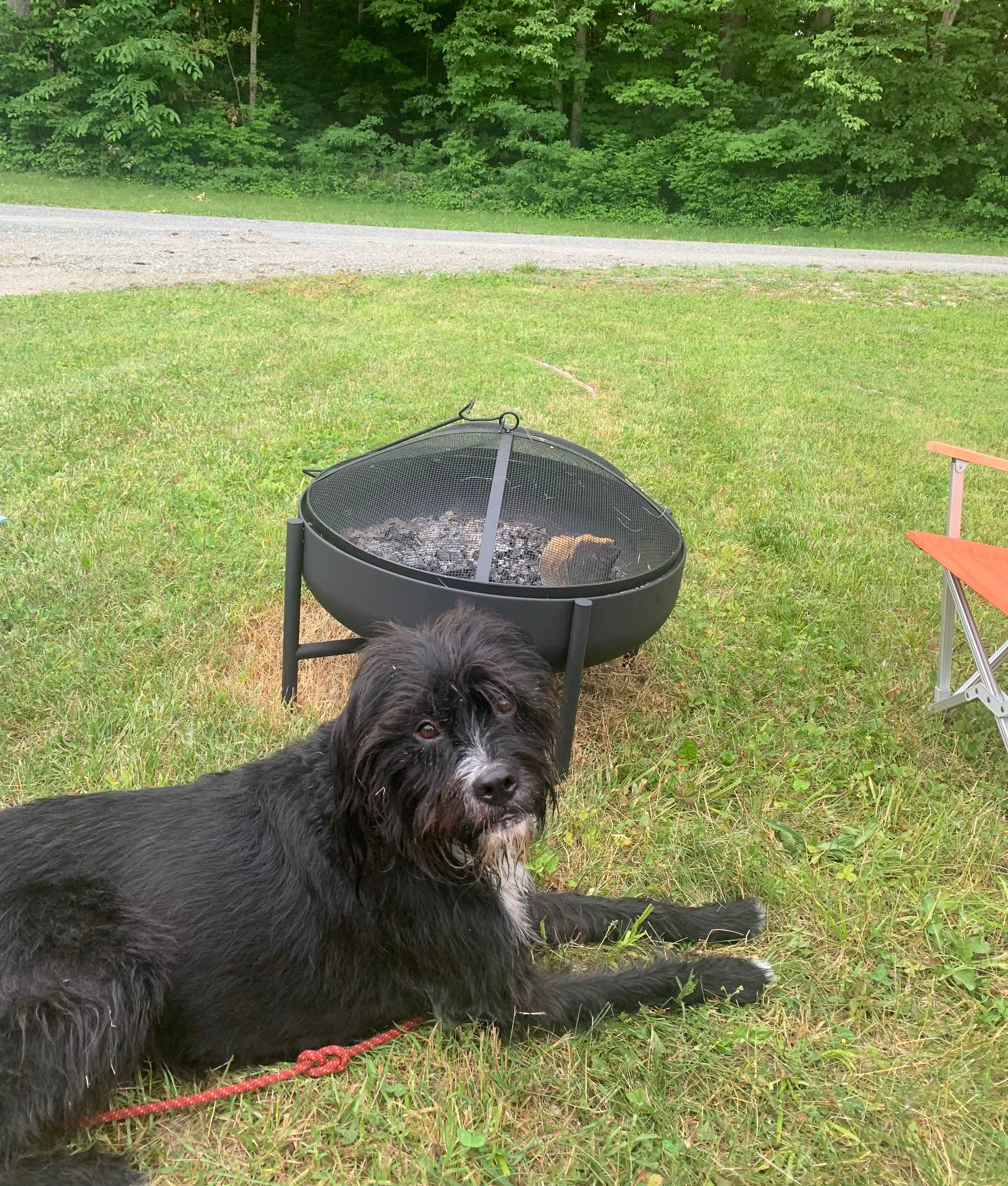 Quiet Lake George Area Campground