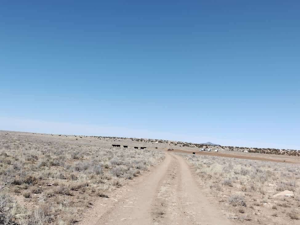 Close to Town - Private Lot