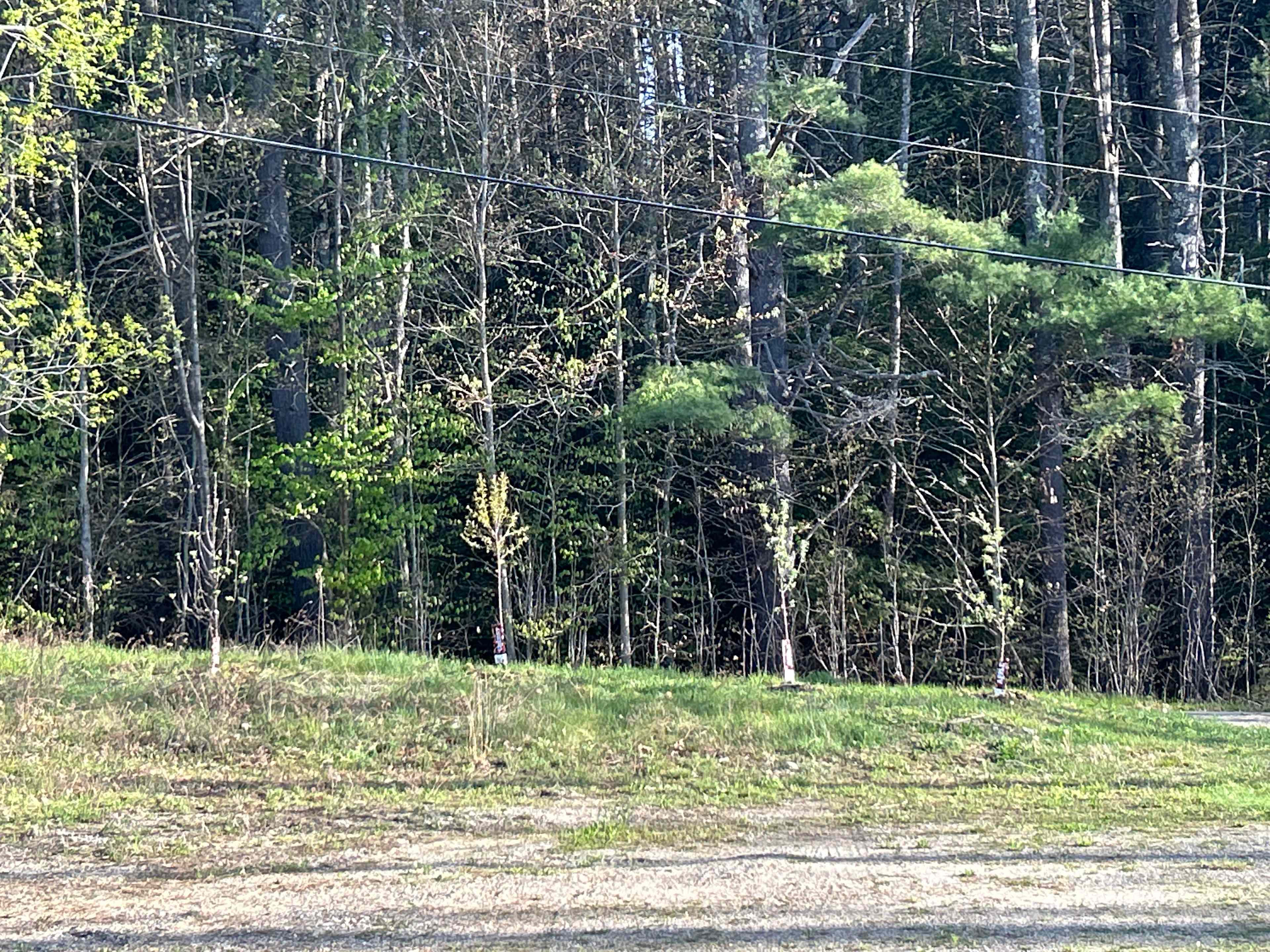 Camp Rabbit Hollow