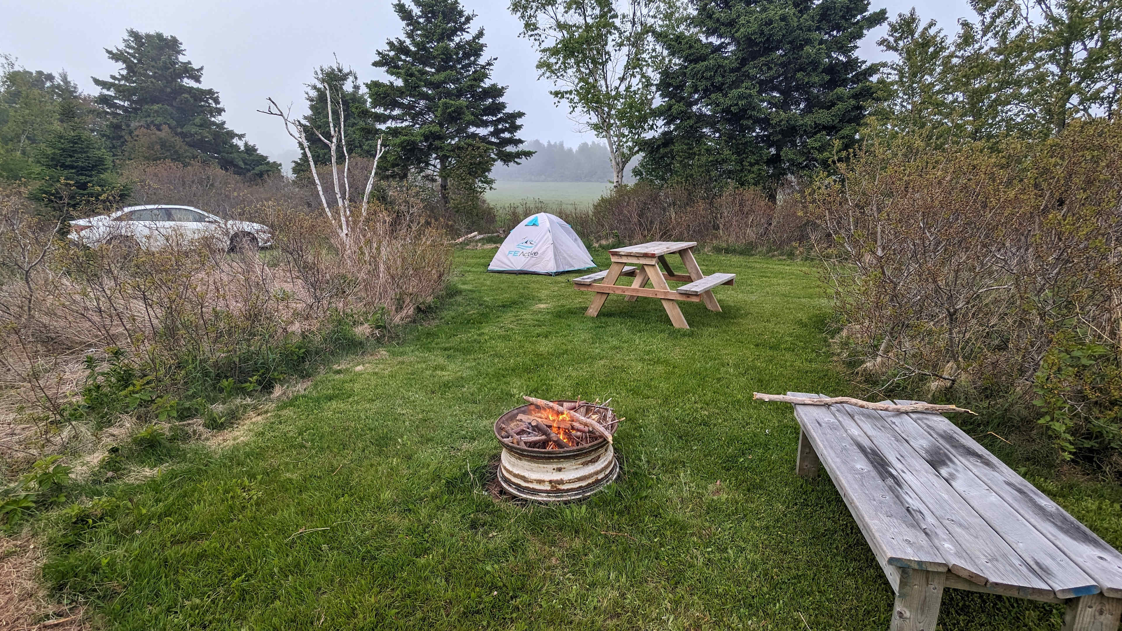 Picture of the site