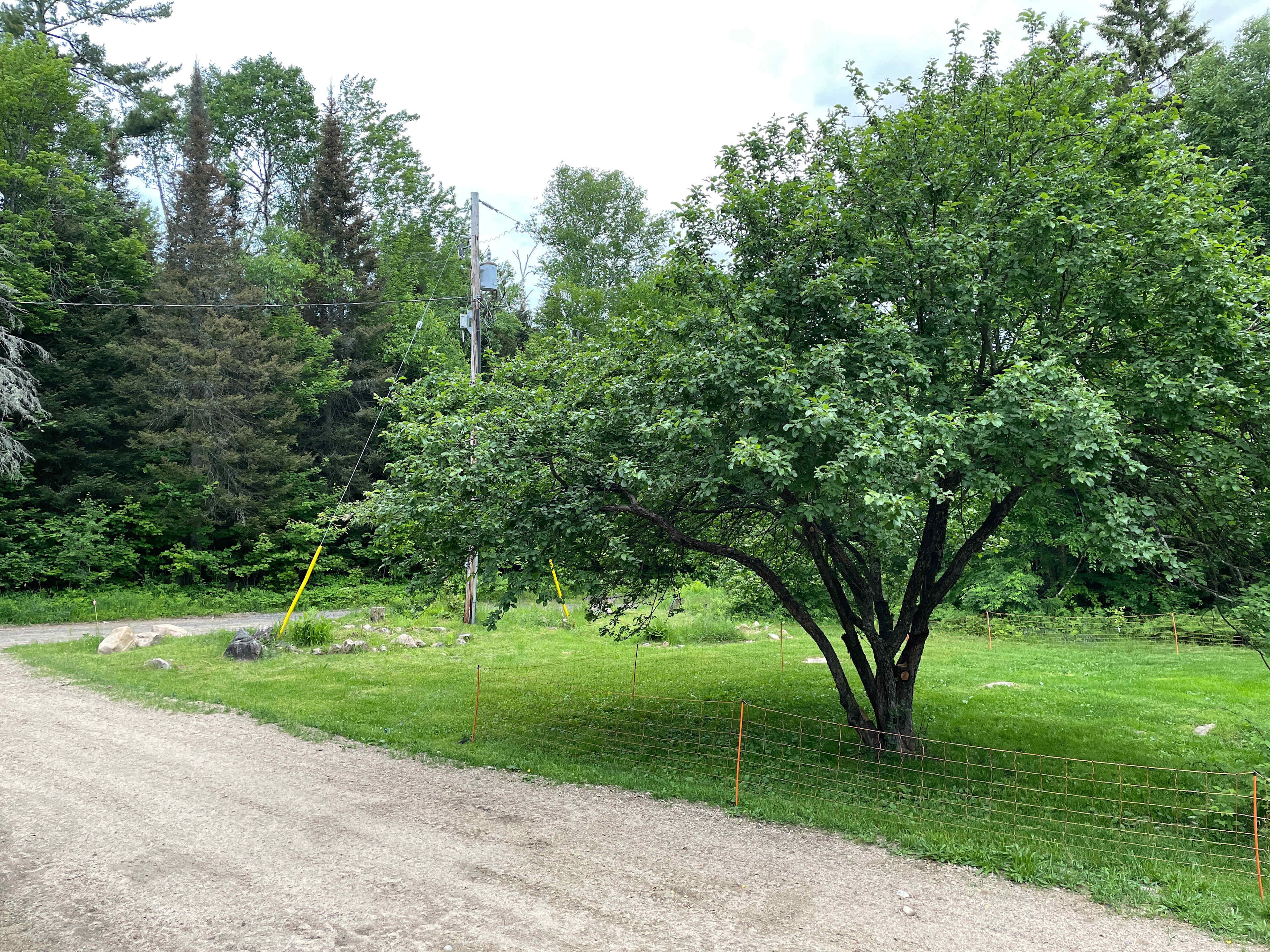 Faithful Roots Farm