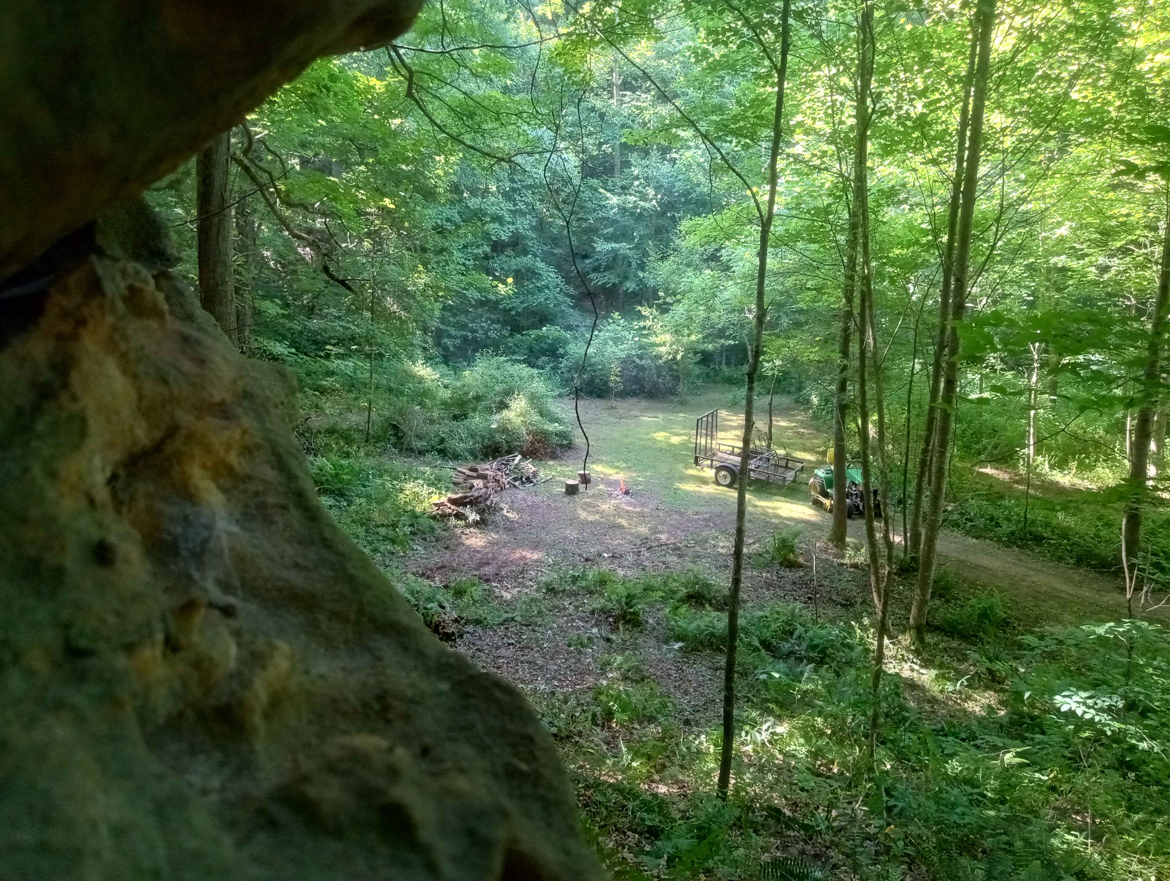 Nature's Way