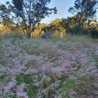 The Farm Lodging