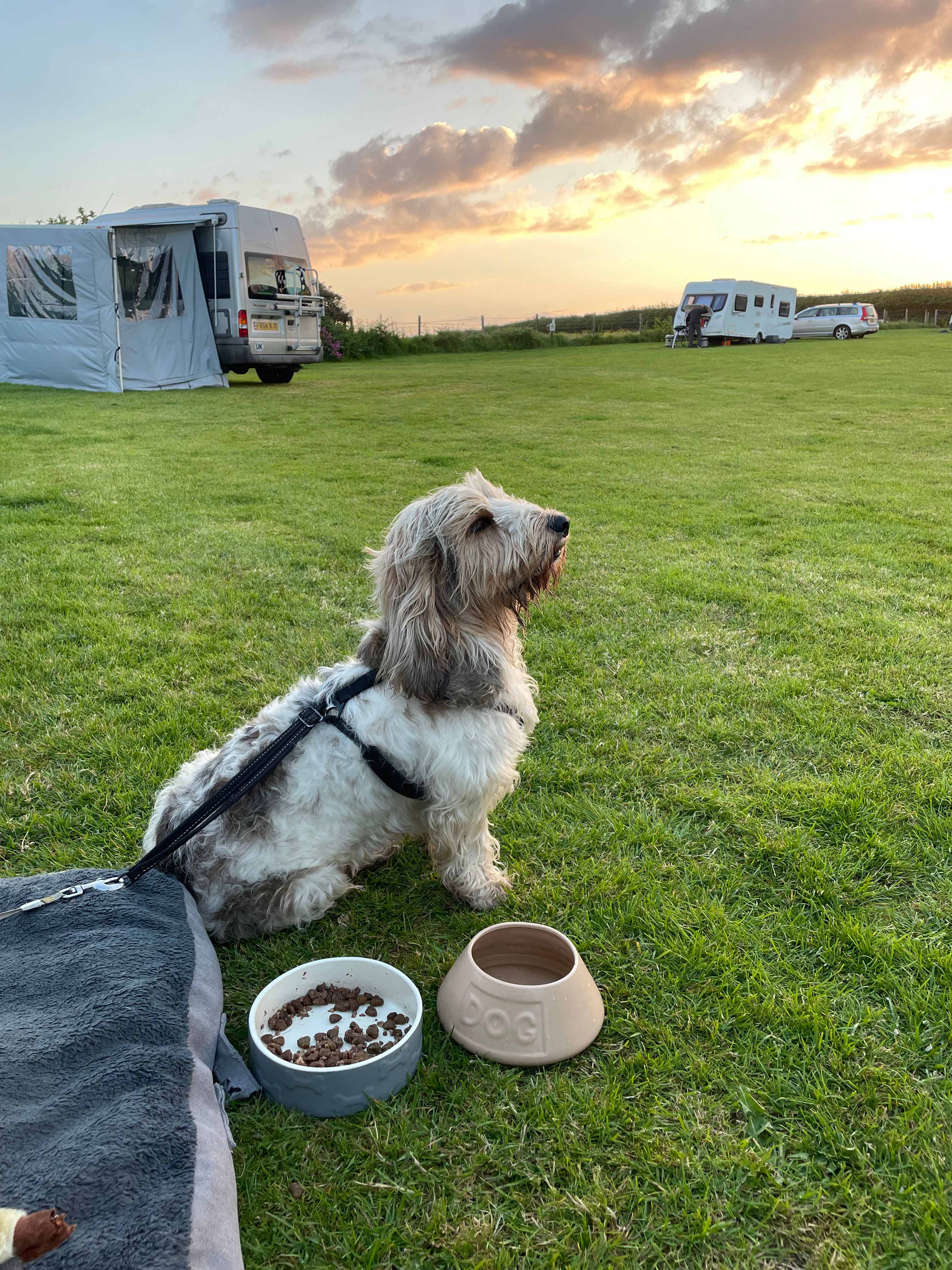 Ivy Cottage Caravan Park