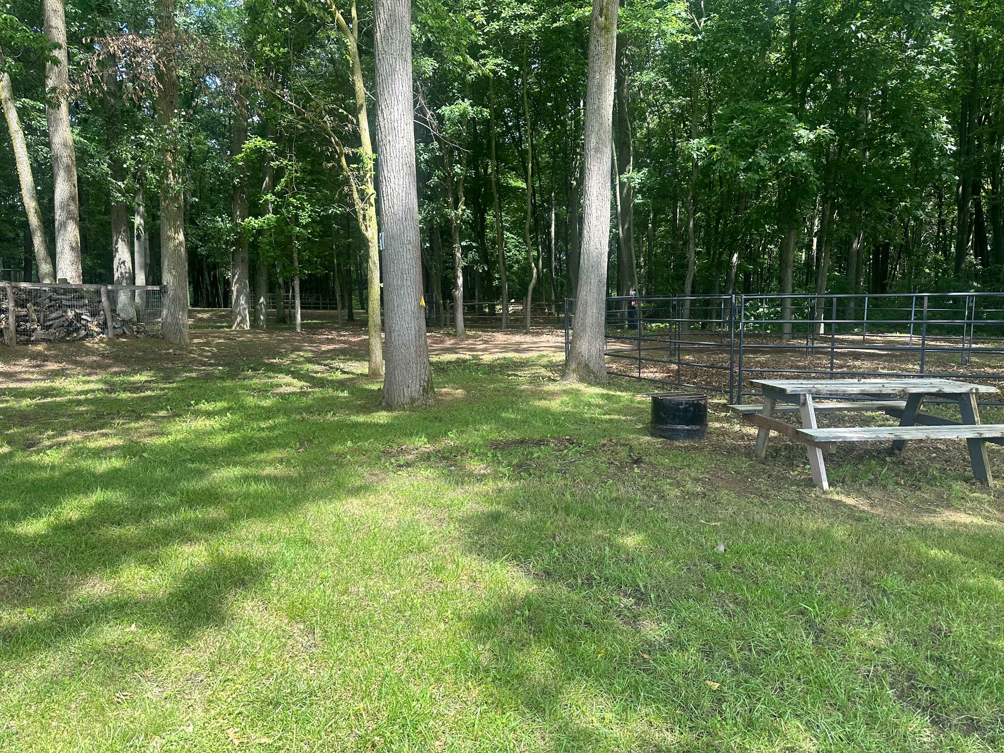 Horseshoe Overnight And Riding