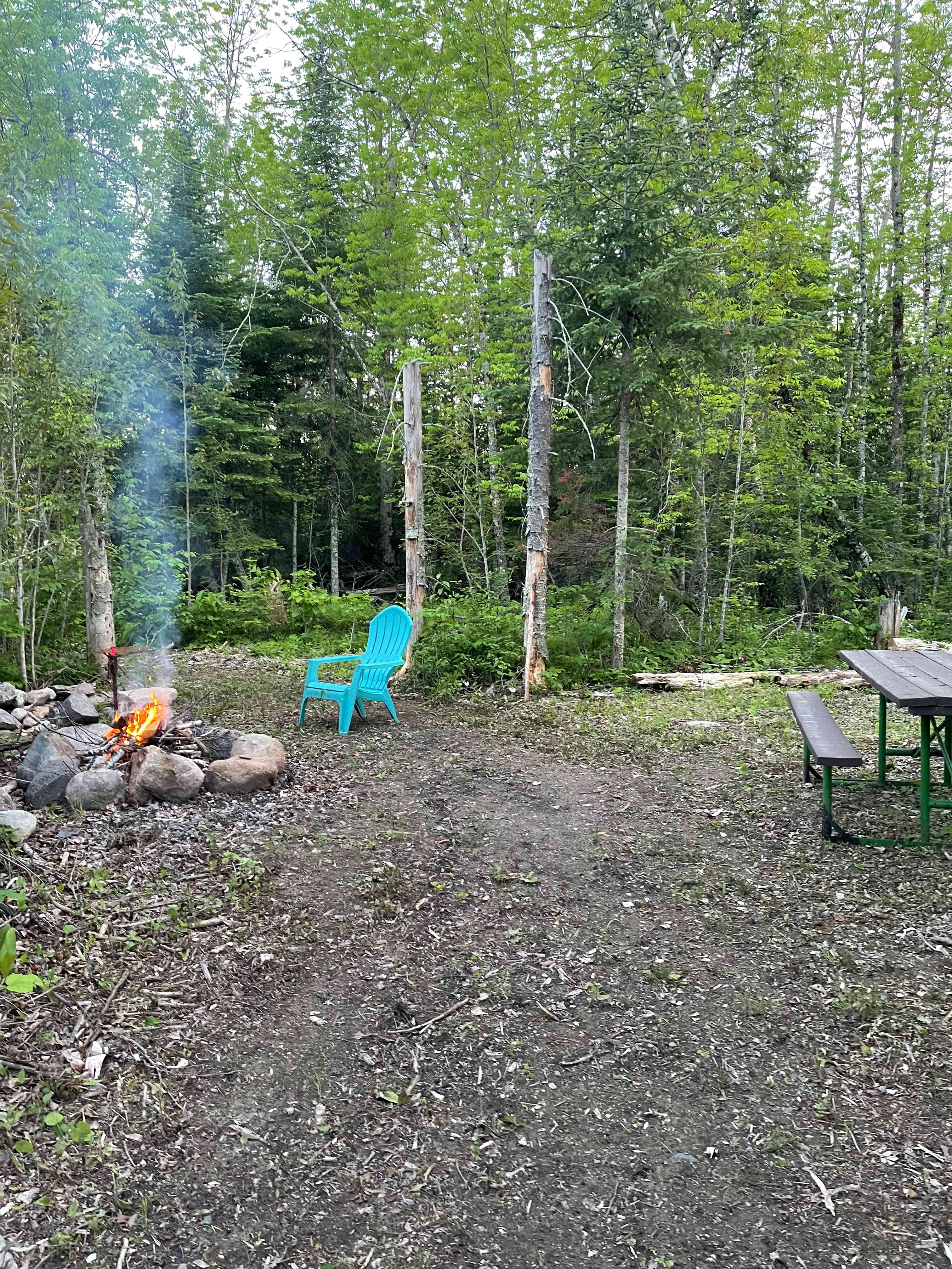 Picture of the site