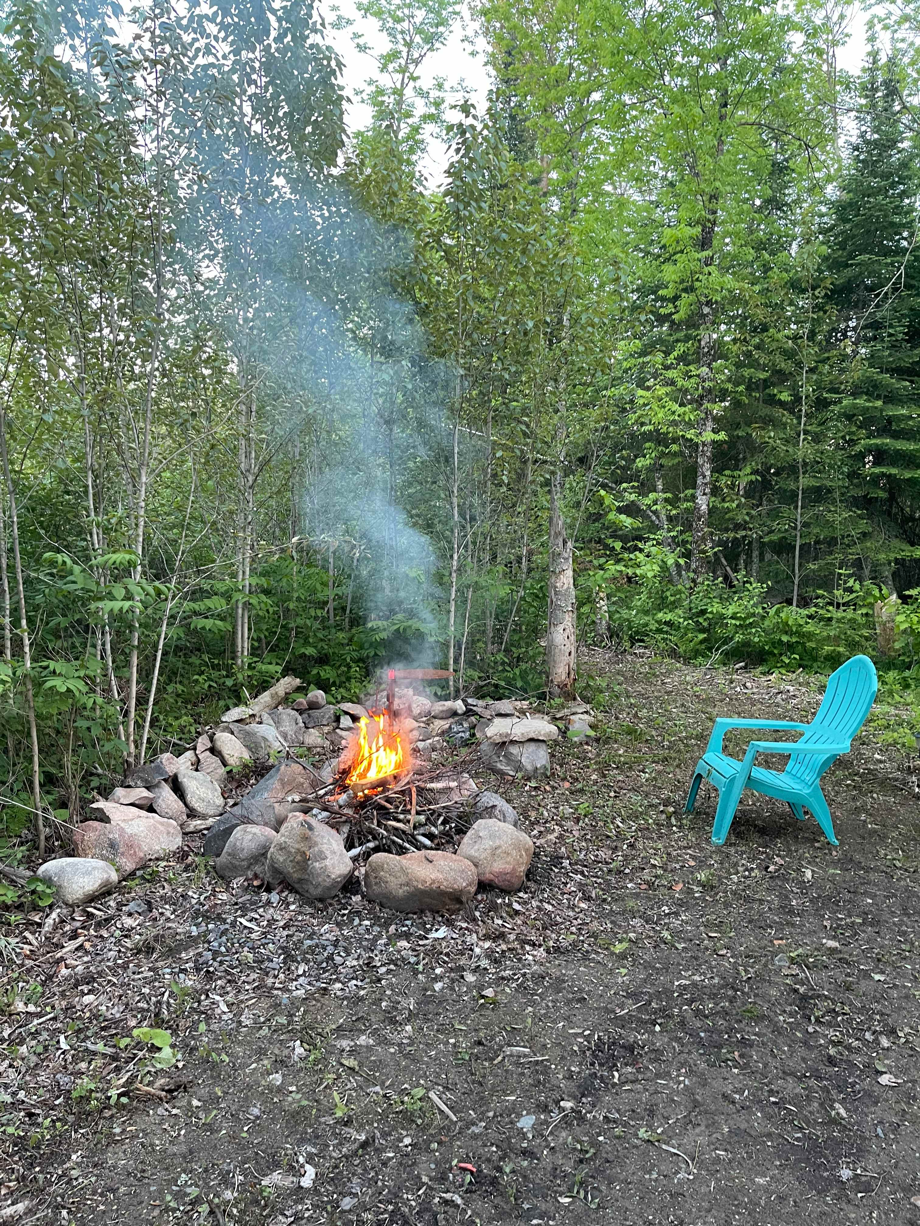 Picture of the site