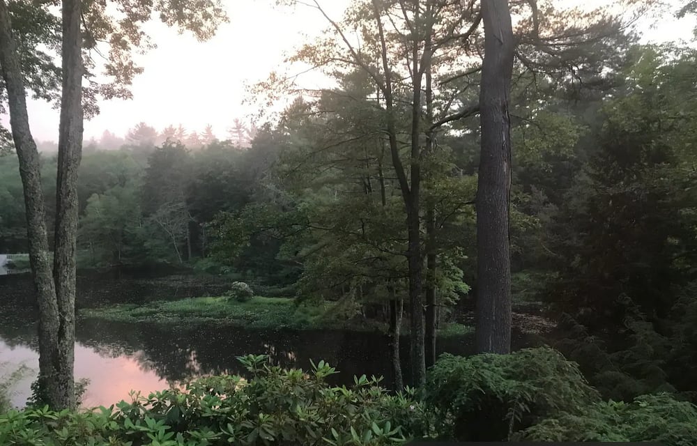 The Shire