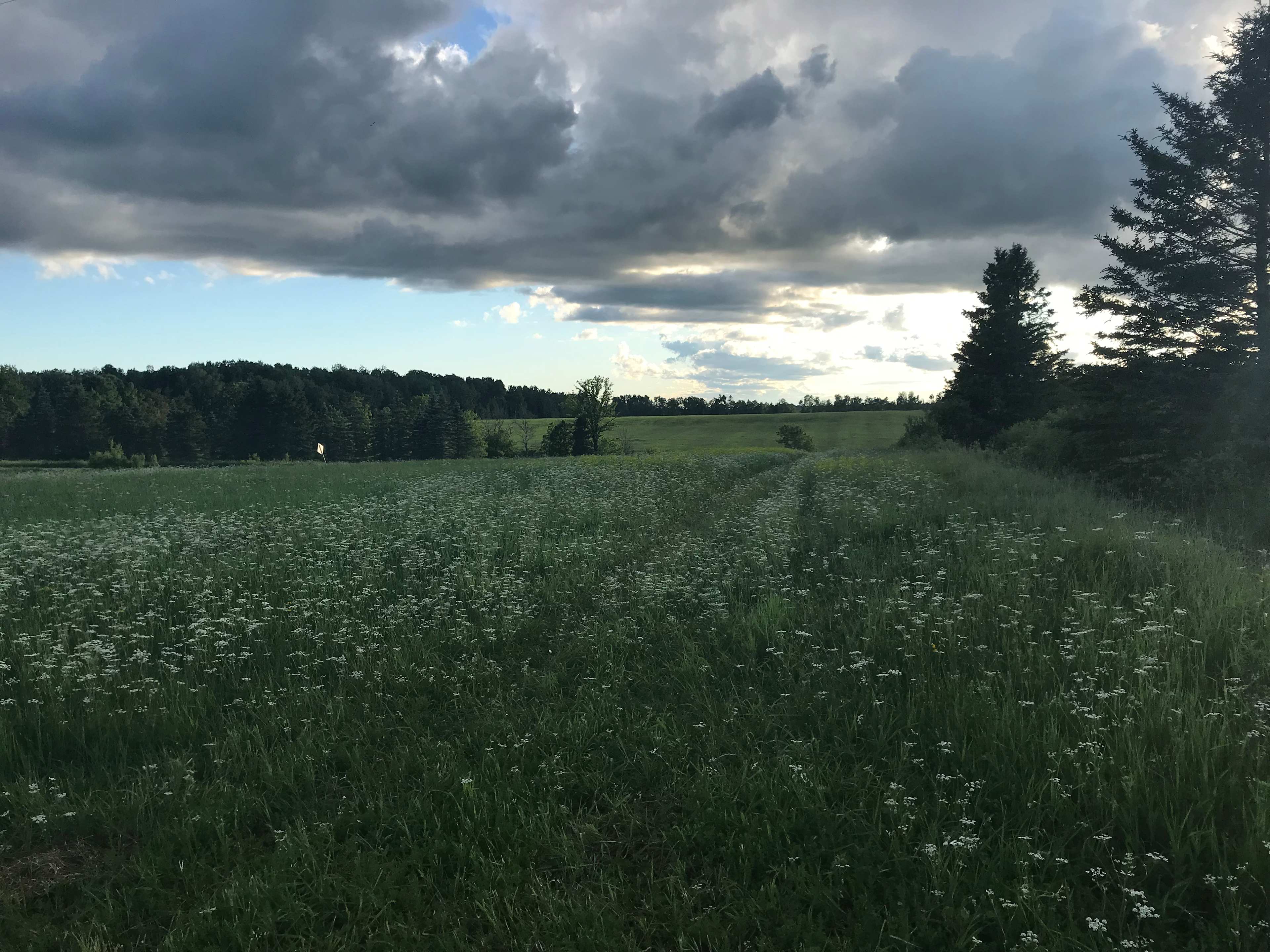 Farm Life