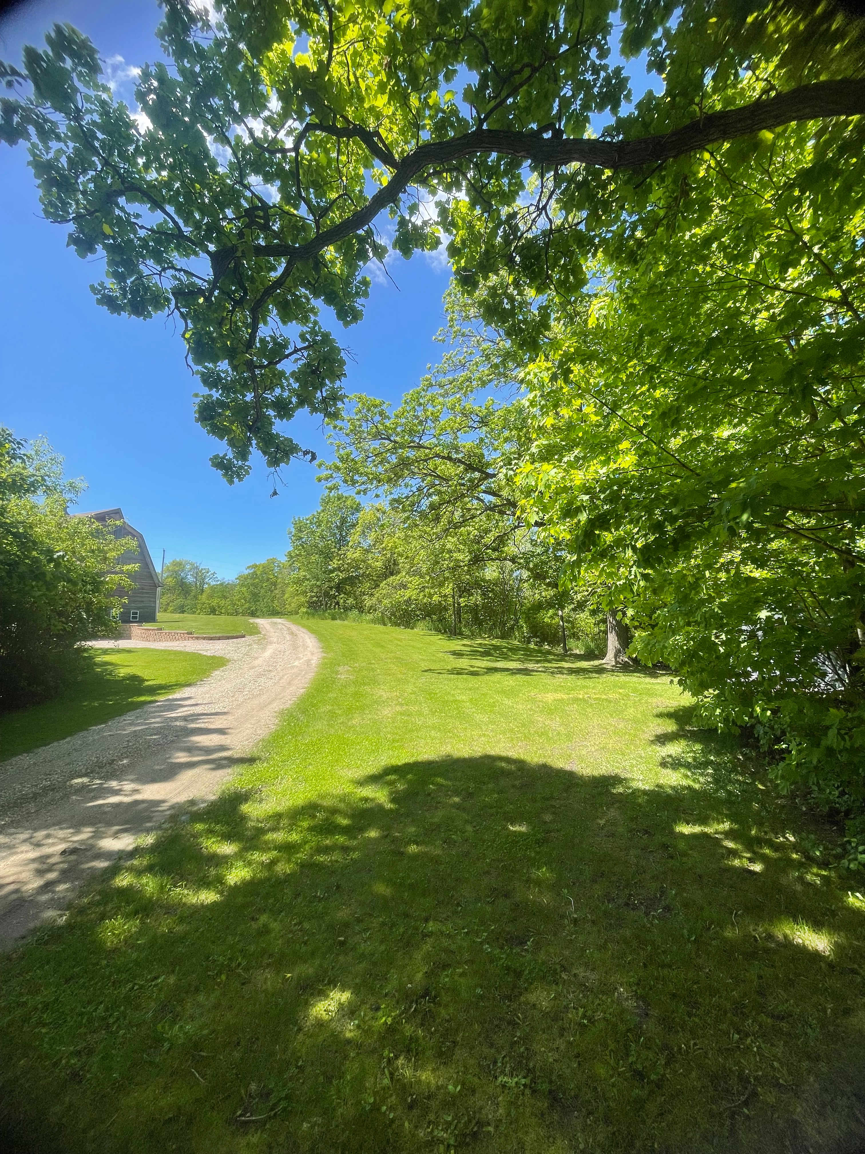 Popular spot to back in trailer/camper…semi-secluded, view of the barn, cozy and content.