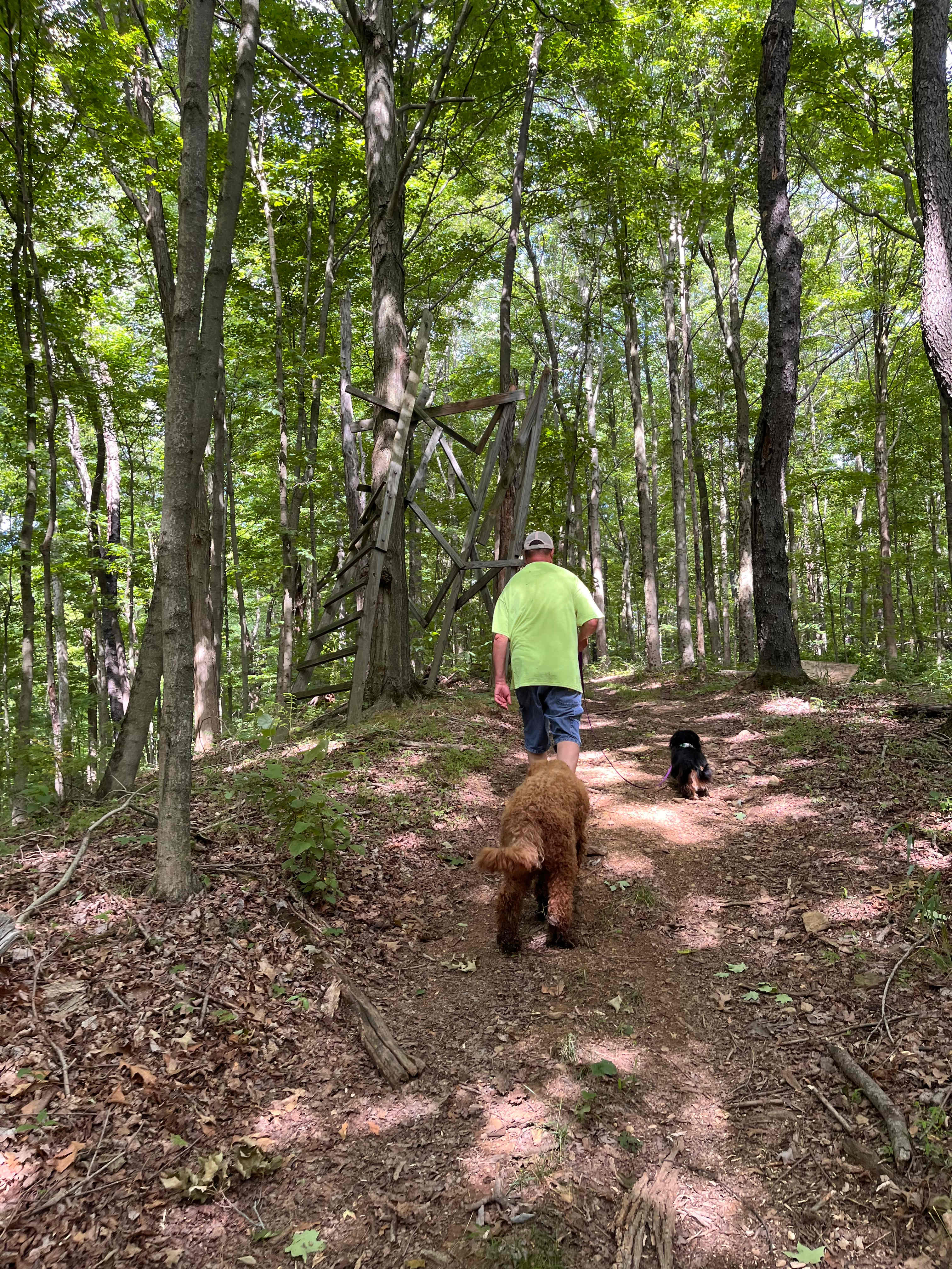 Our 4 mile hike 