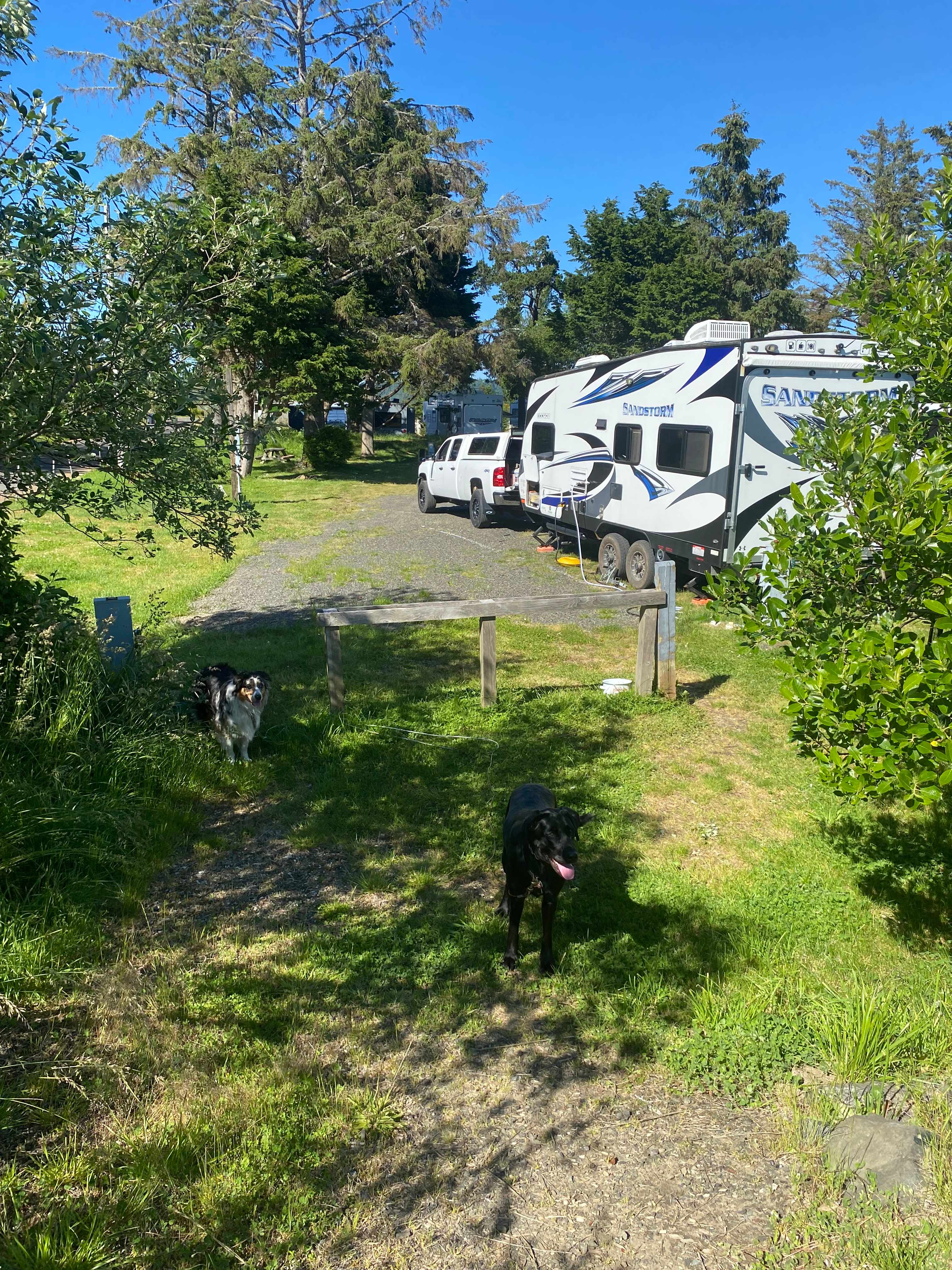Picture of the site