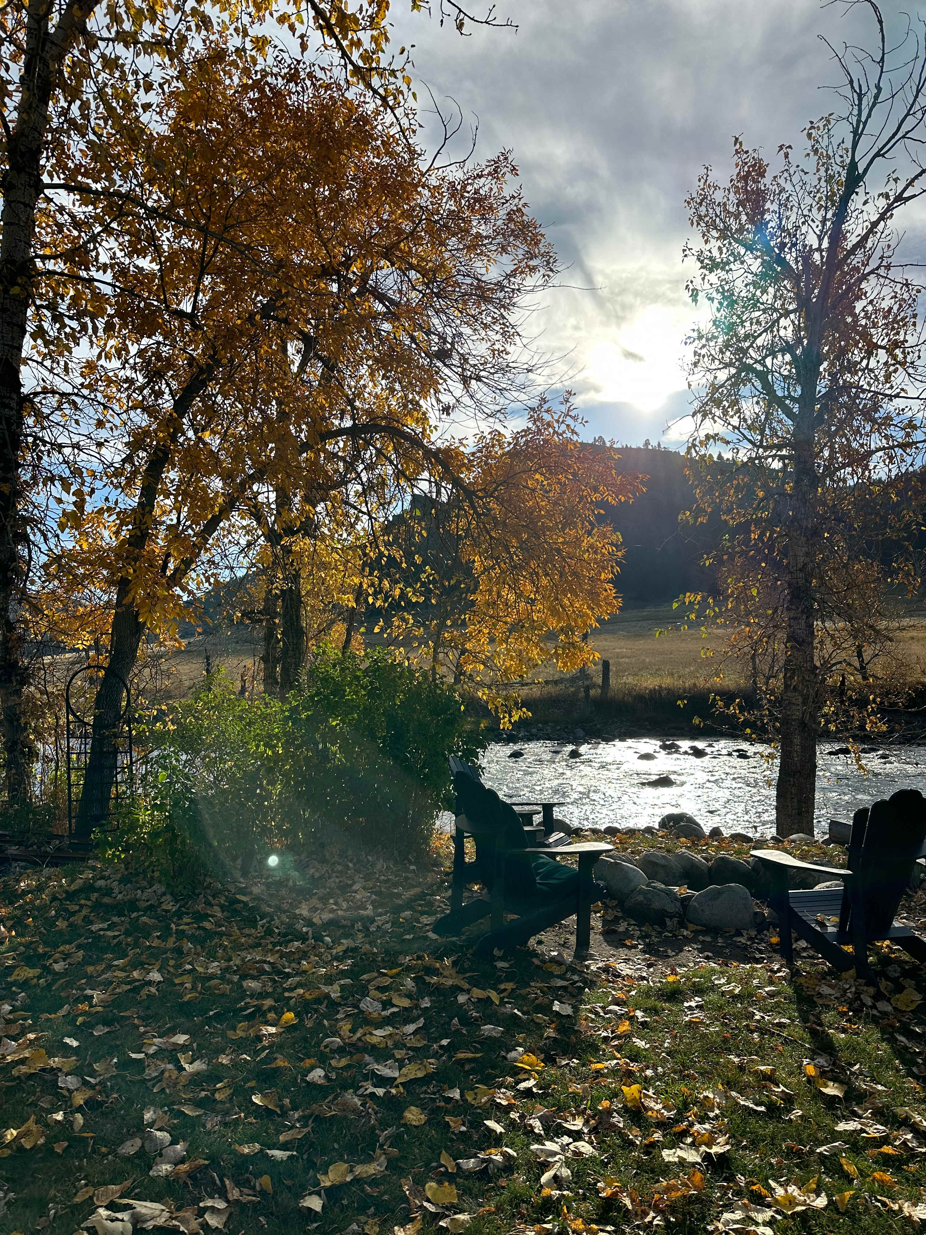 Stillwater River Beehive