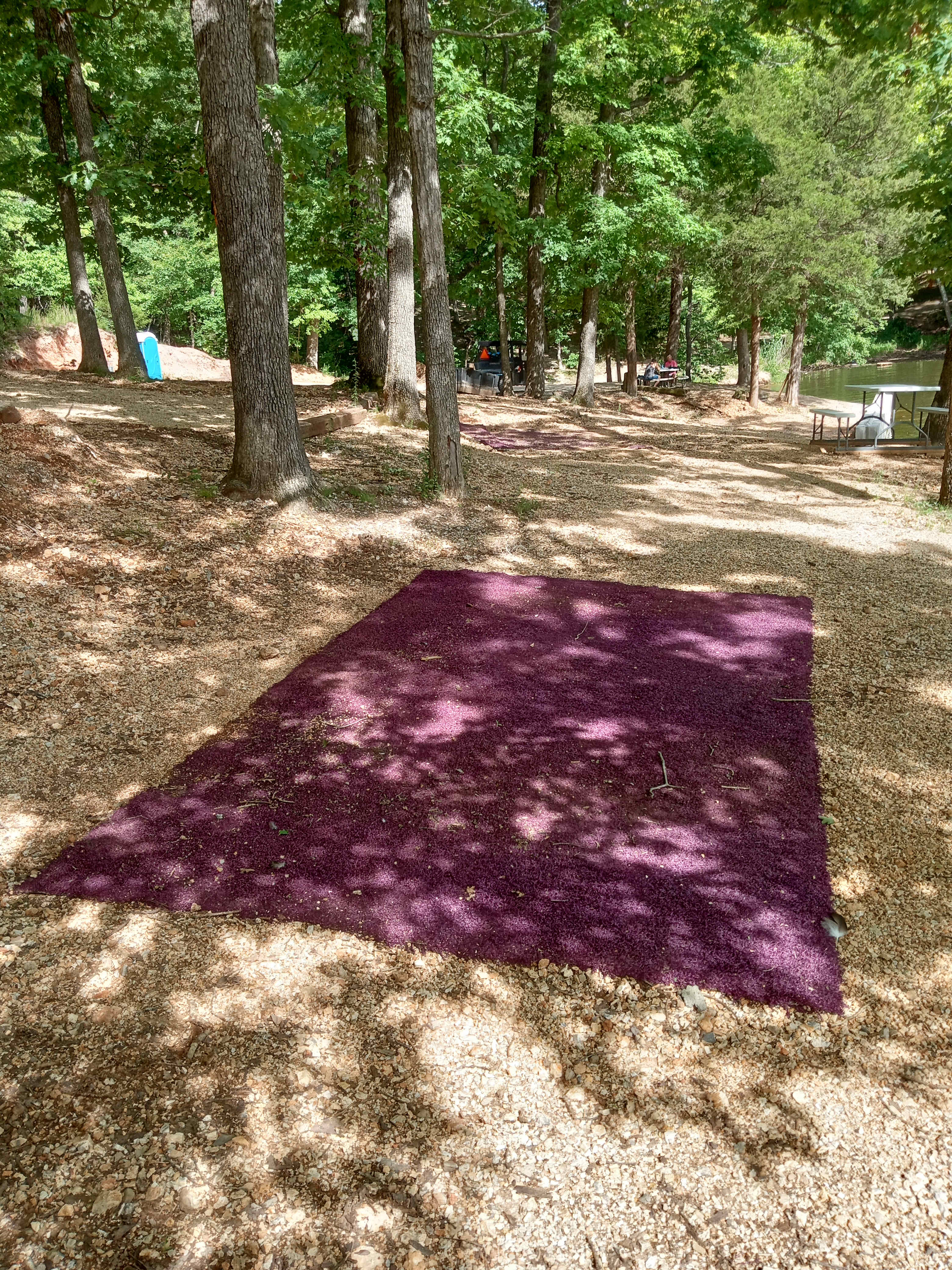 Picture of the site