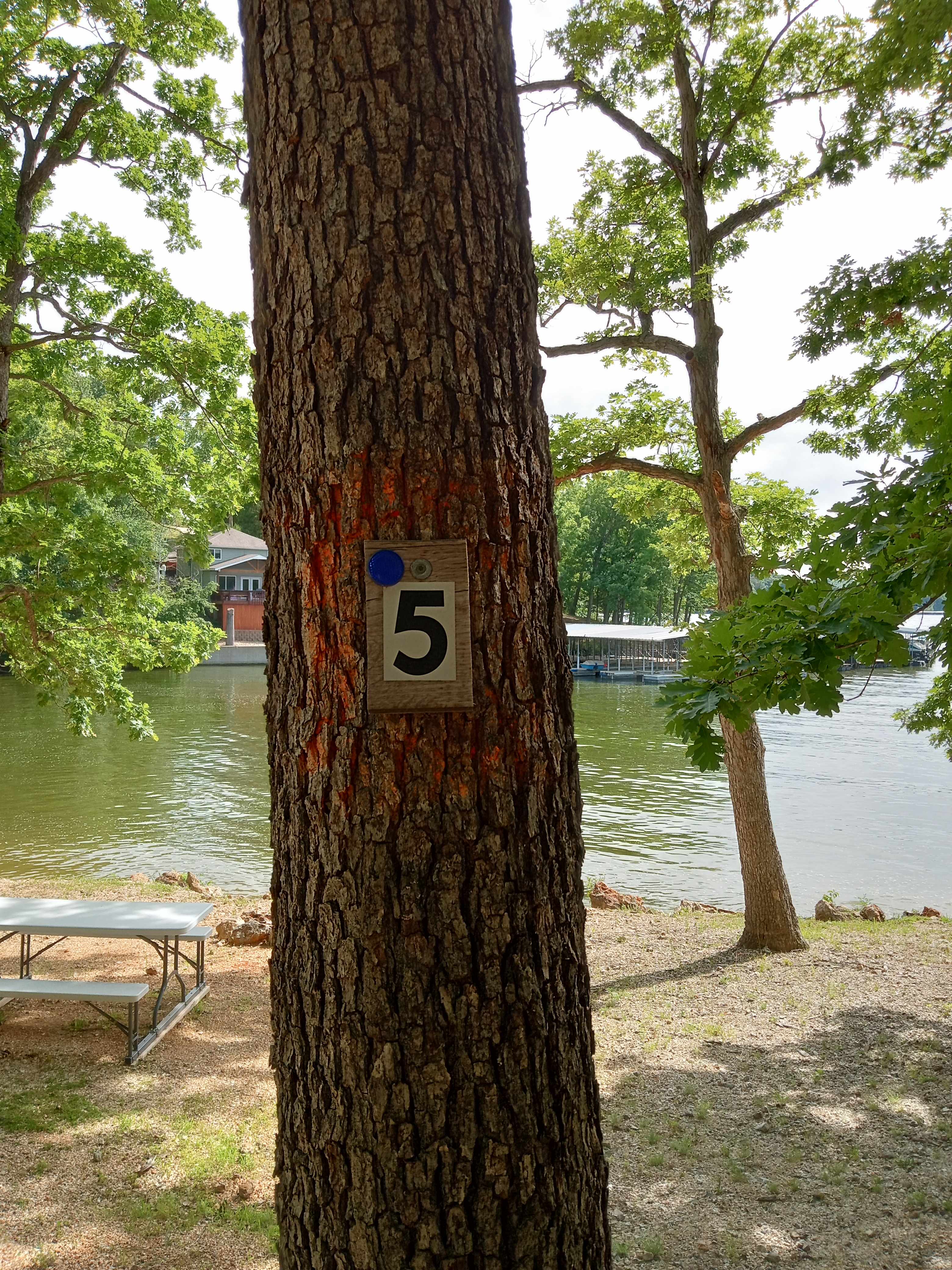 Campsite 5 offers a variety of things to do like, fishing, swimming and also hiking trails right behind you!