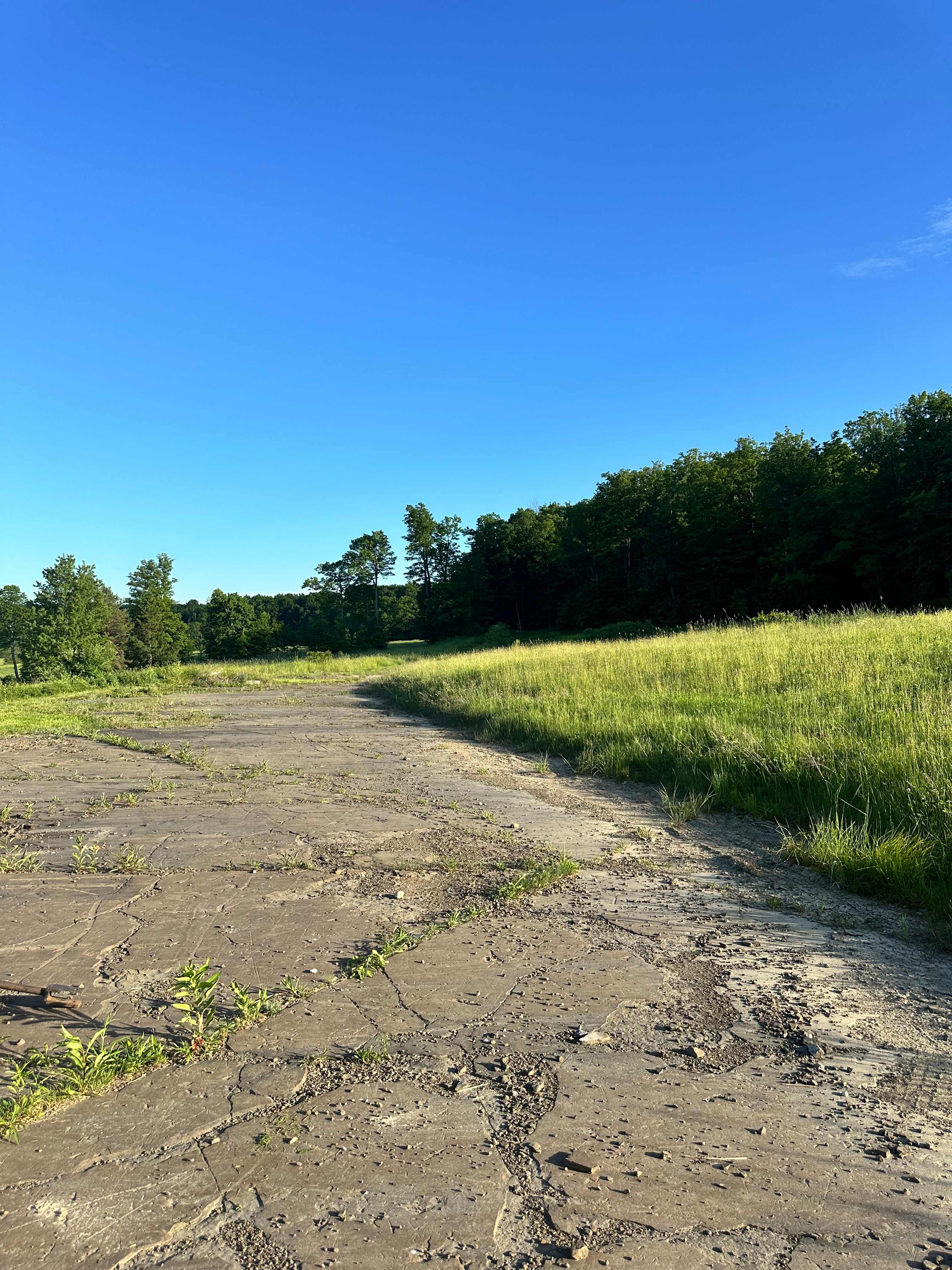 This natural rock slab, measuring 30-40 feet in length, spans the front of the property and faces northeast. Enjoy the sunrise over the open fields ahead, or find solace in the shady trees behind. The rock, though flat, is not perfectly level and varies in width from 15 to 8 feet. This distinctive location offers a stunning 360-degree view of nature and seclusion, overlooking the meticulously maintained grounds.