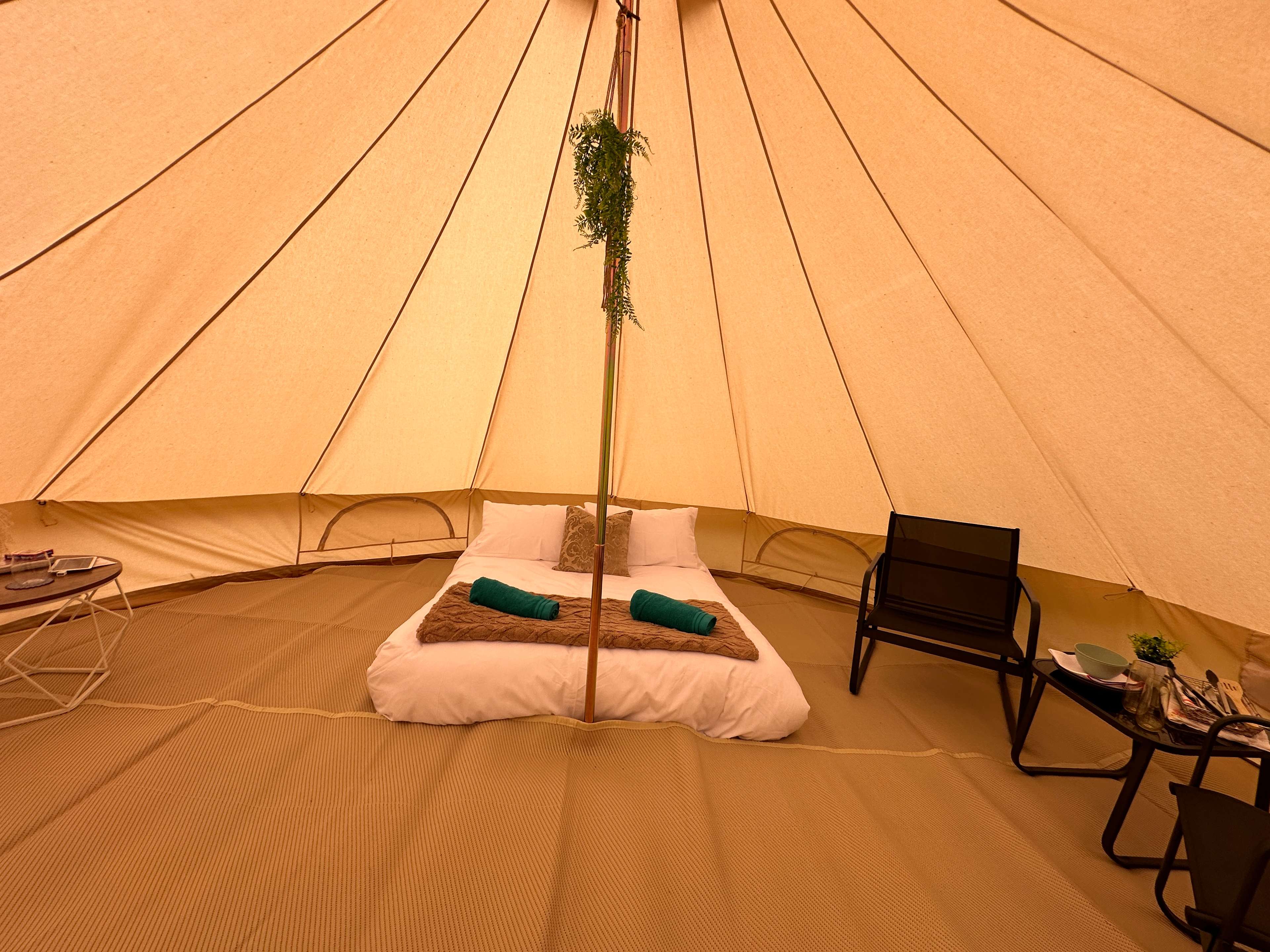 Buzzard Holt Hosting