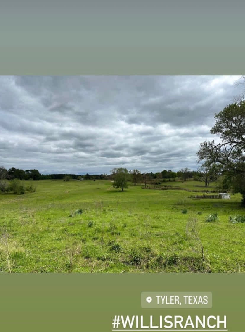 Willis Ranch