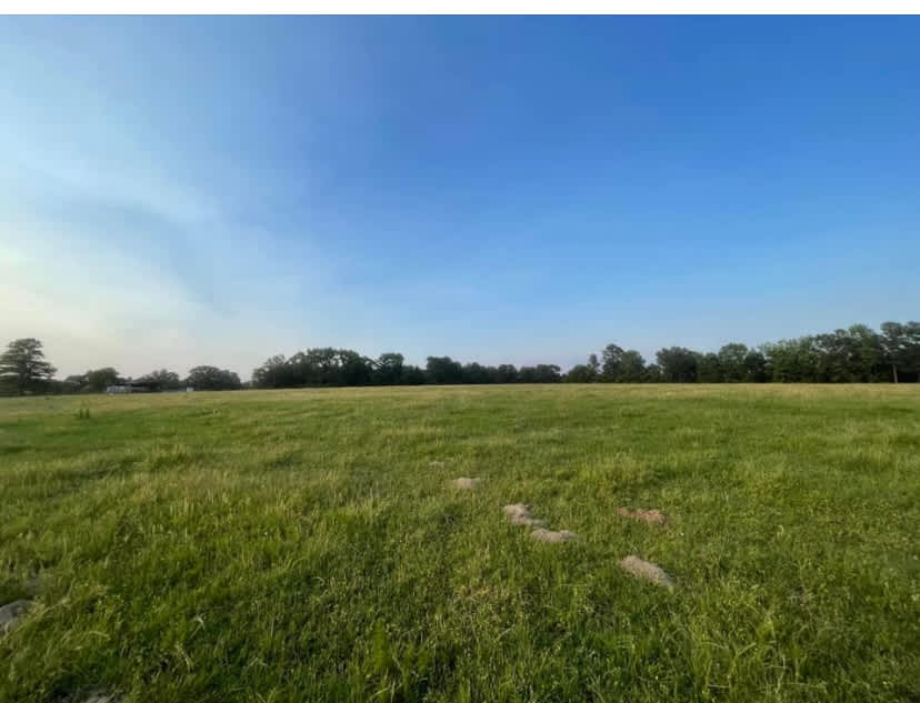 Willis Ranch