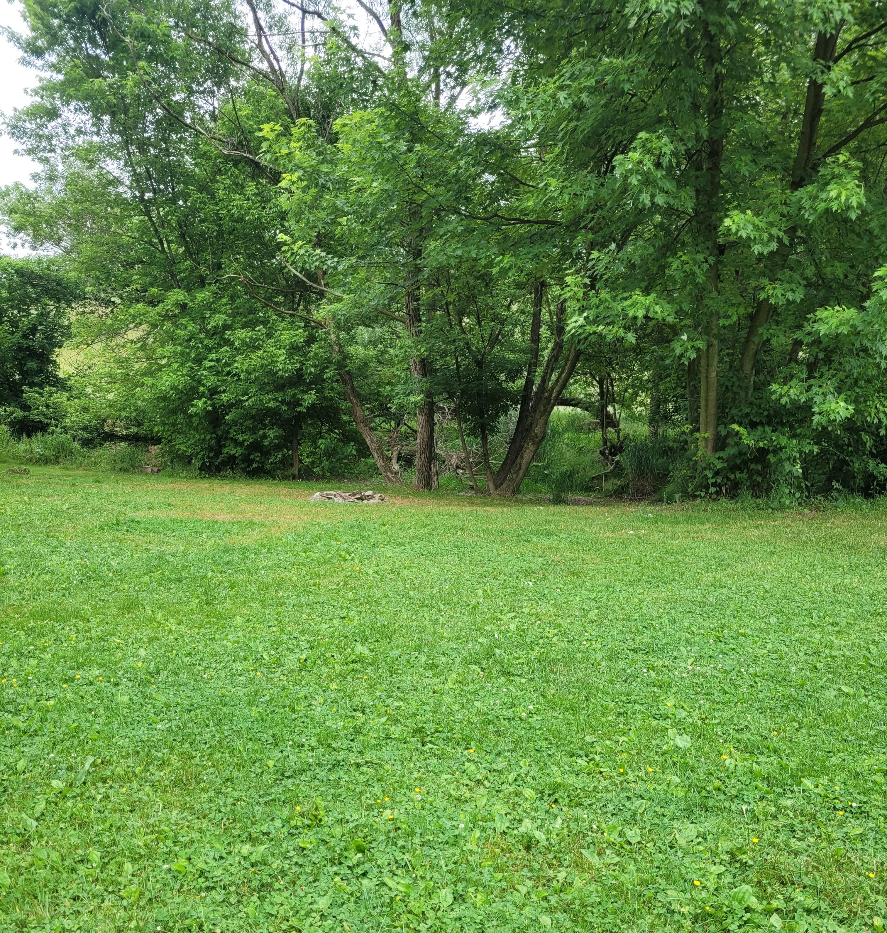 Shambala at Mystic Hollow