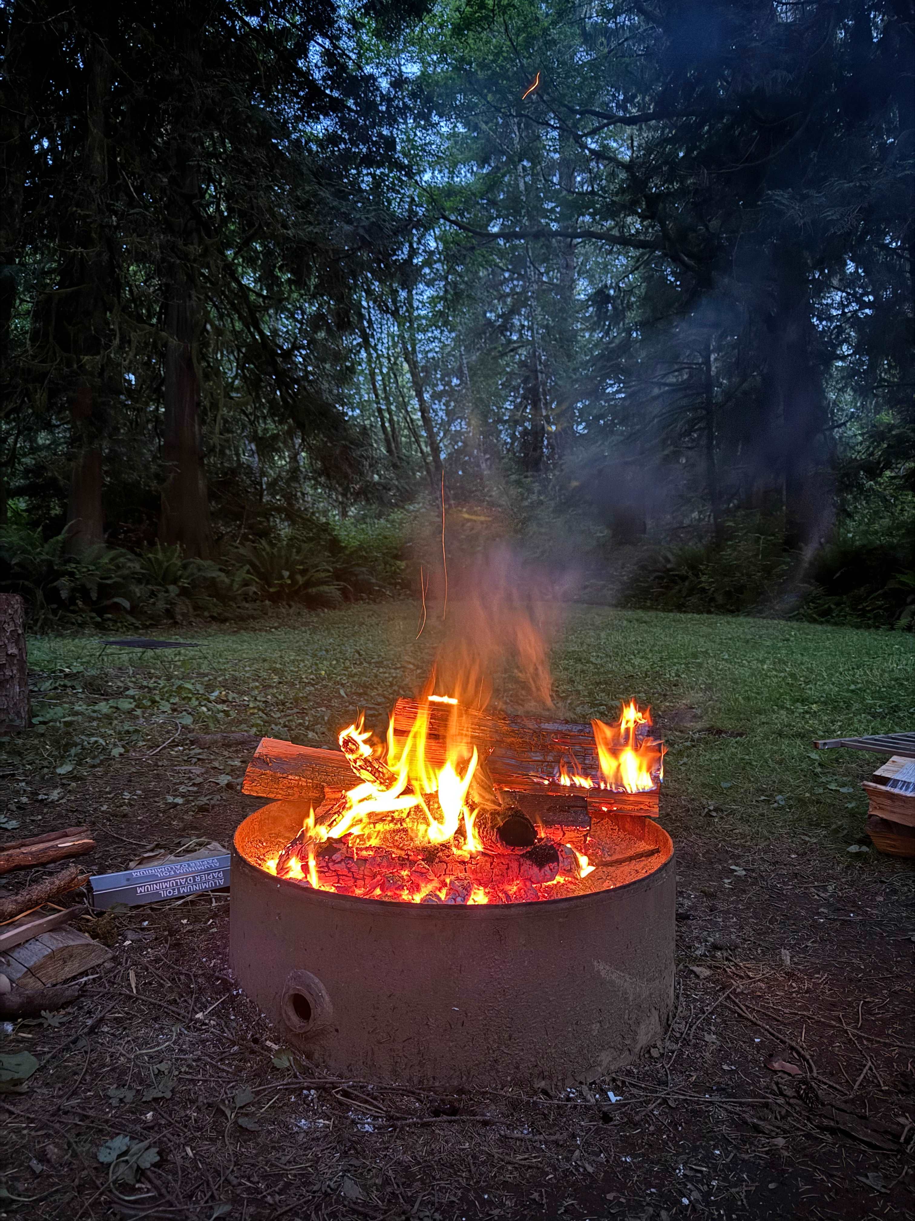 Williams Park campground