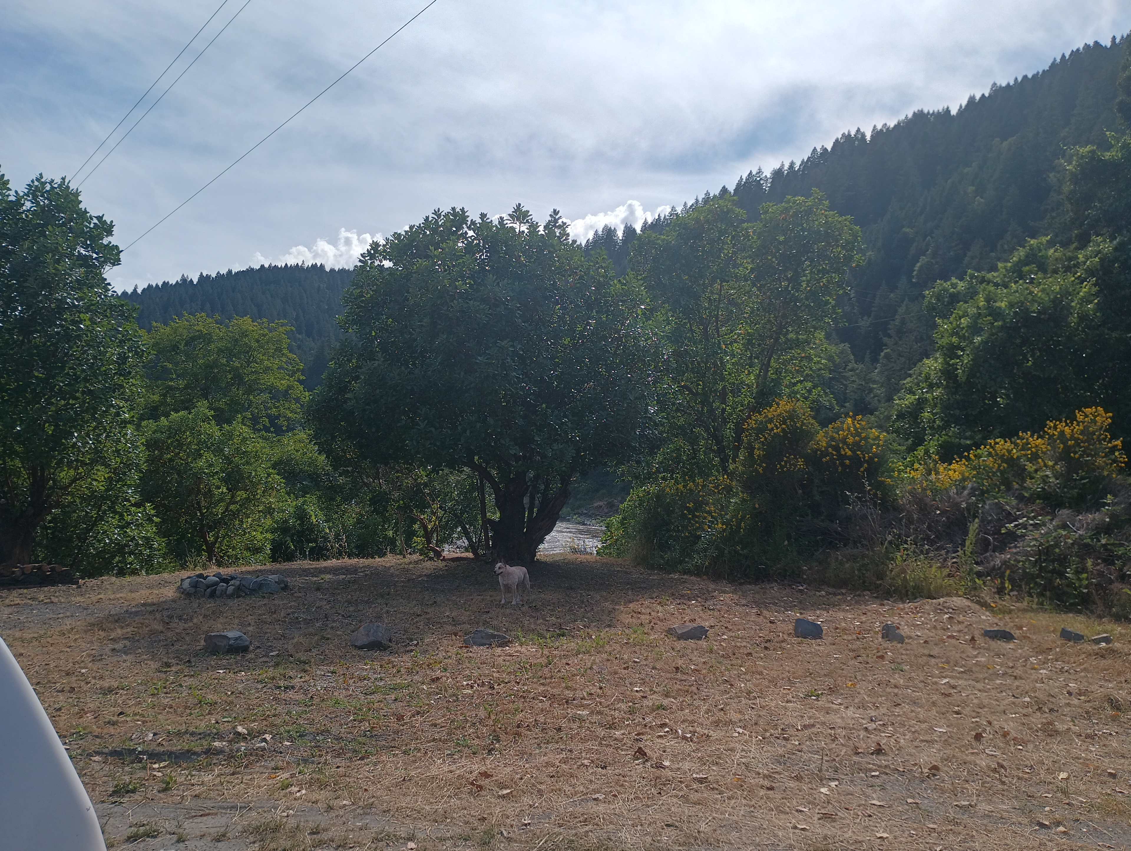 Picture of the site